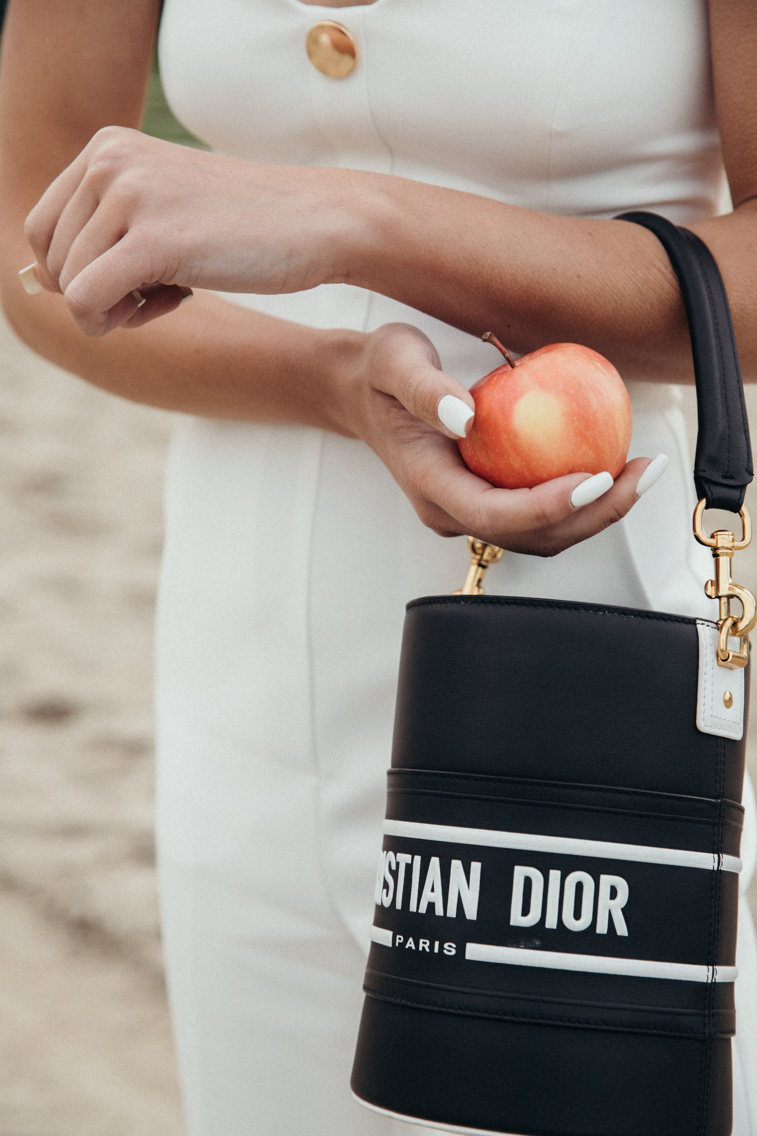 Horse & Rider Photoshoots In Florida