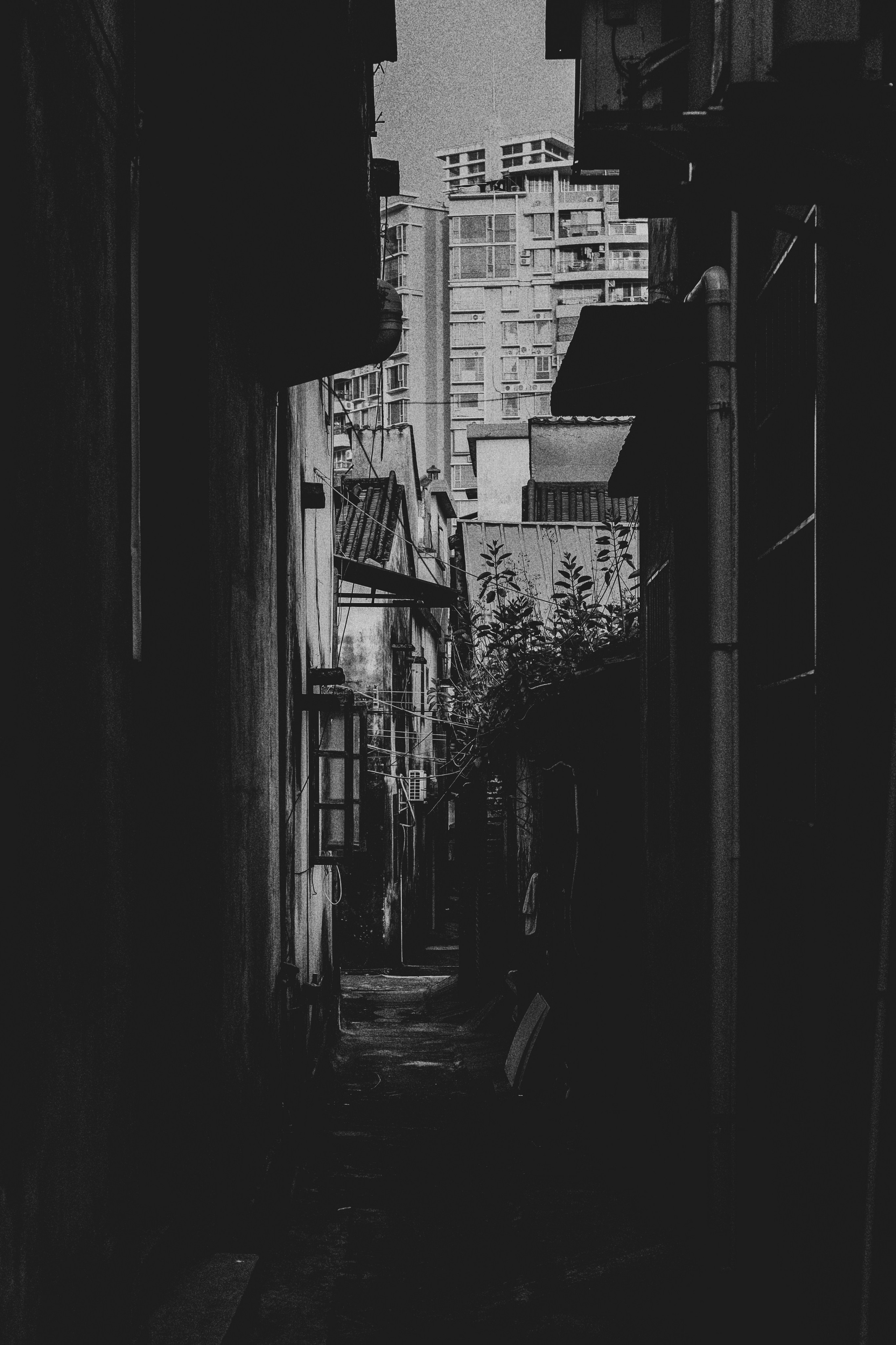 Monochrome Magic: Jiangmen Street Photography. 中国街头摄影 | The Streets of China Through My Eyes | 深圳