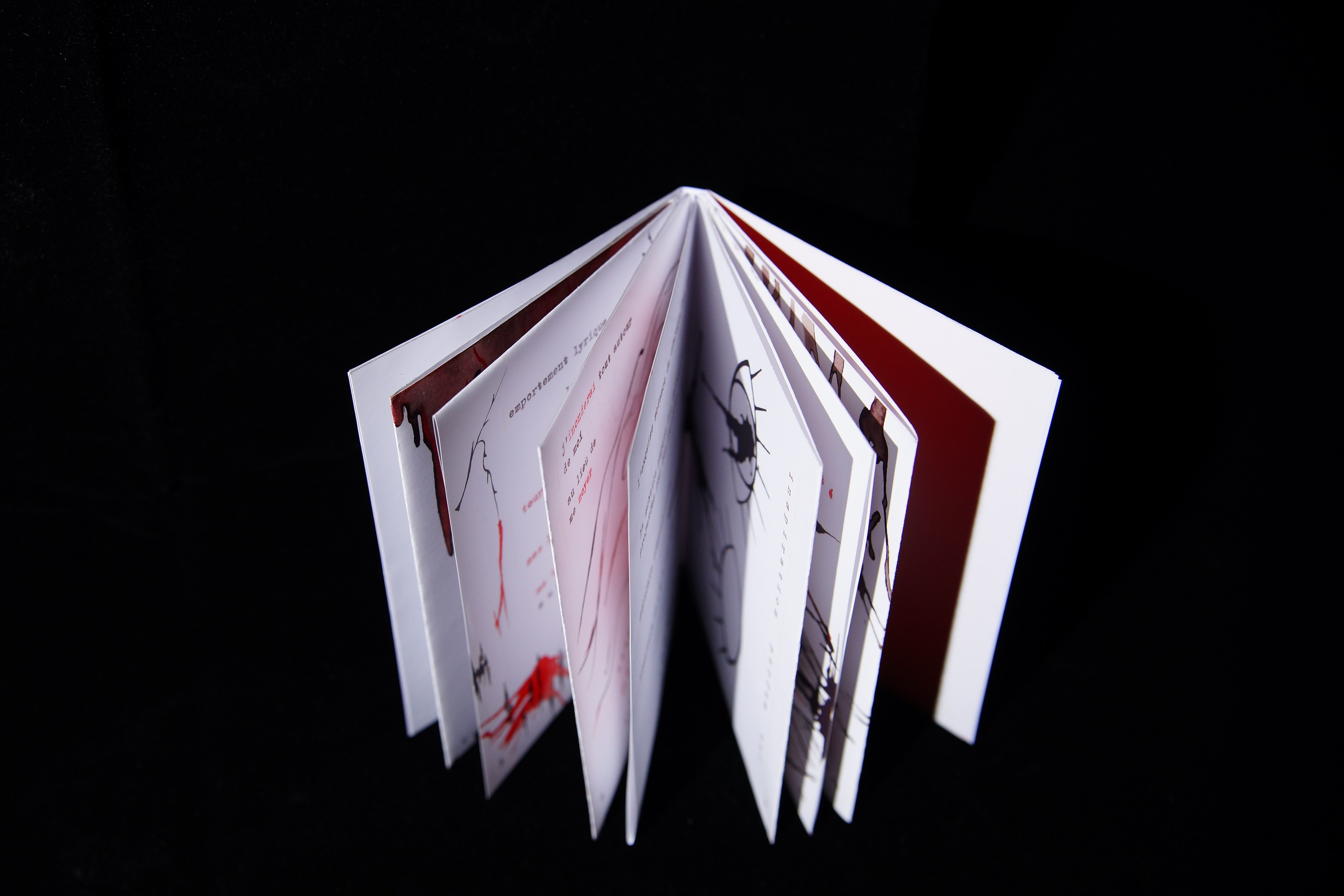 Products. Angelina Sorokopud. Artist in Strasbourg