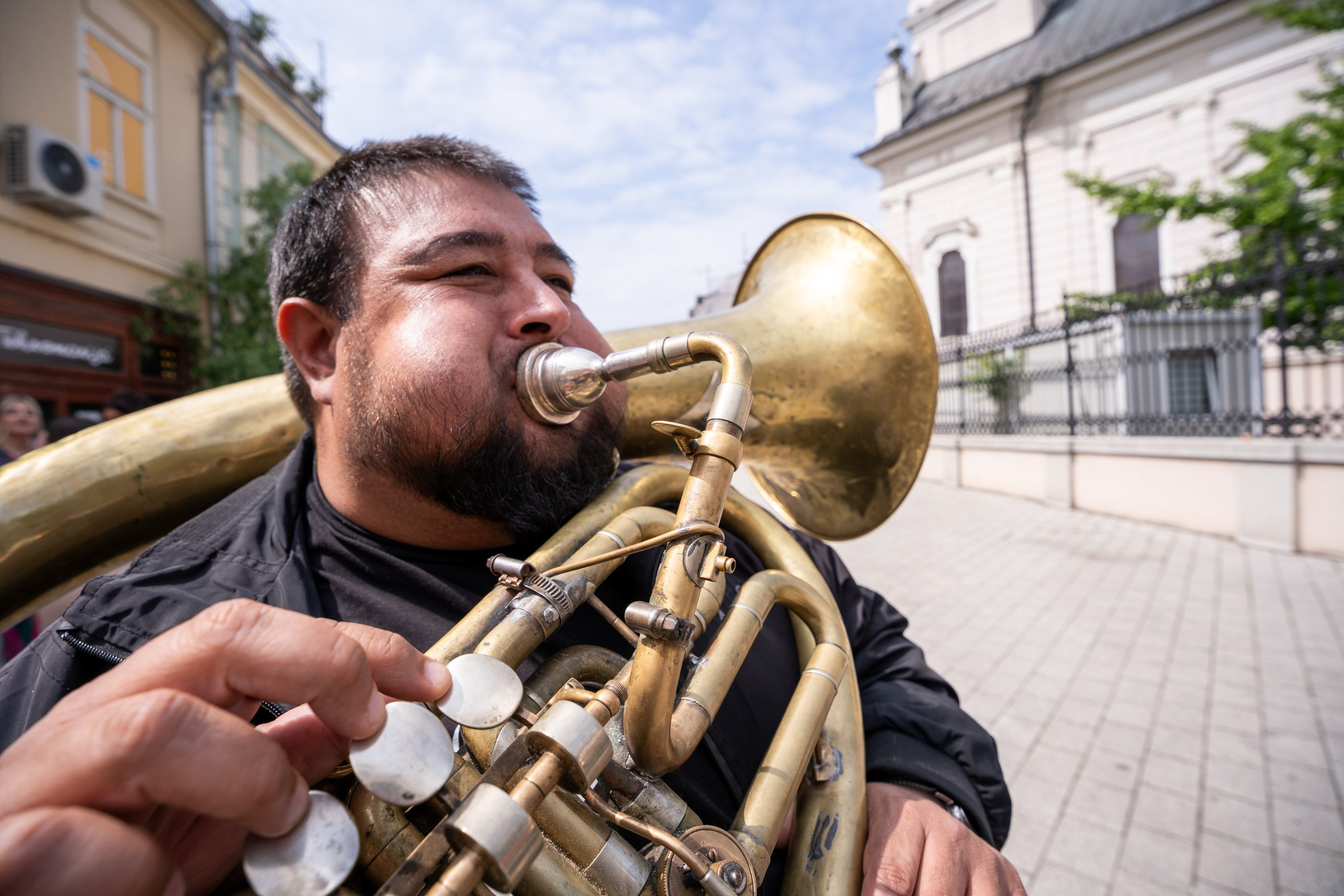 Nikolina & Dejan. Wedding photography