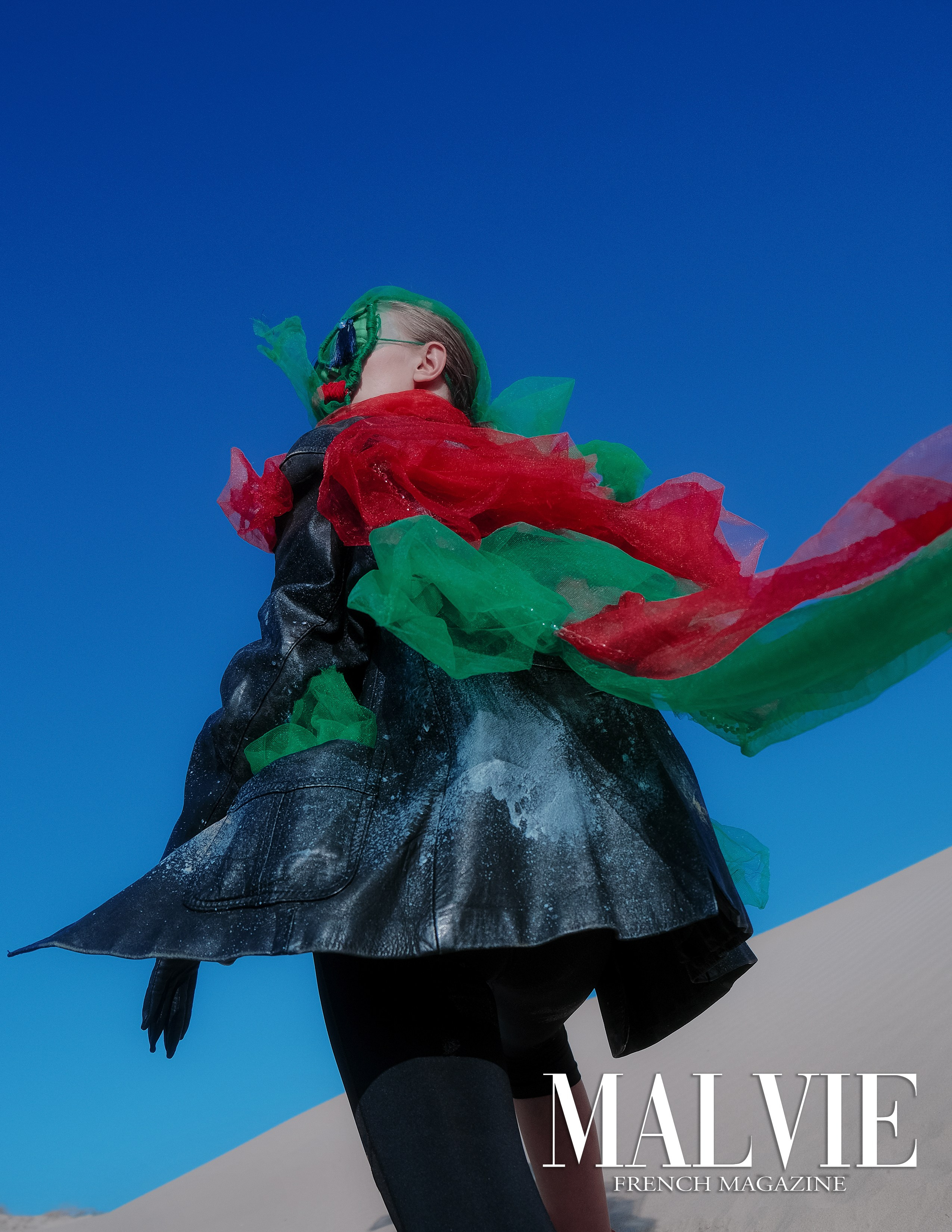 The best publications of the project The Messenger