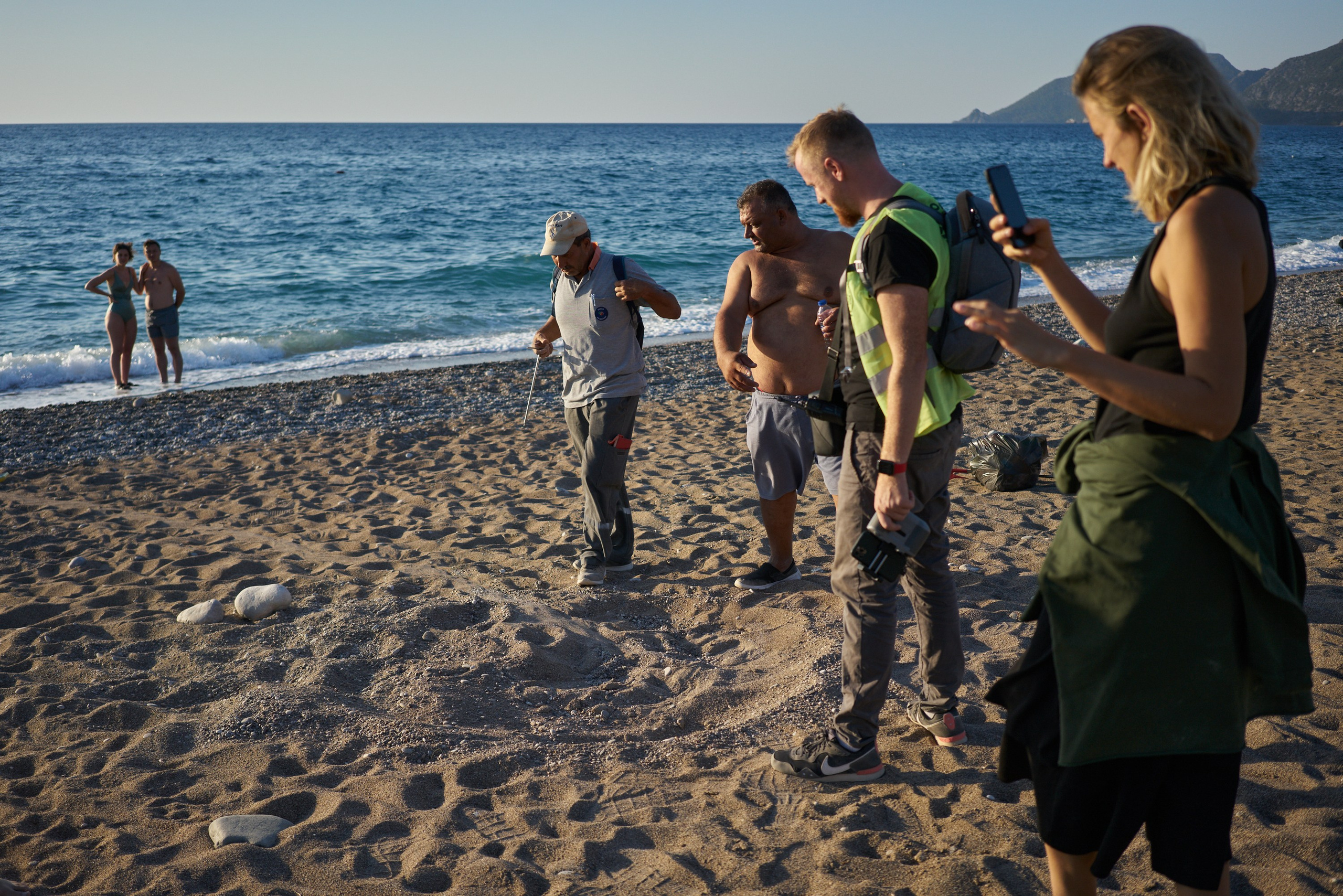 Caretta caretta | Anastasiia Nelen photographer