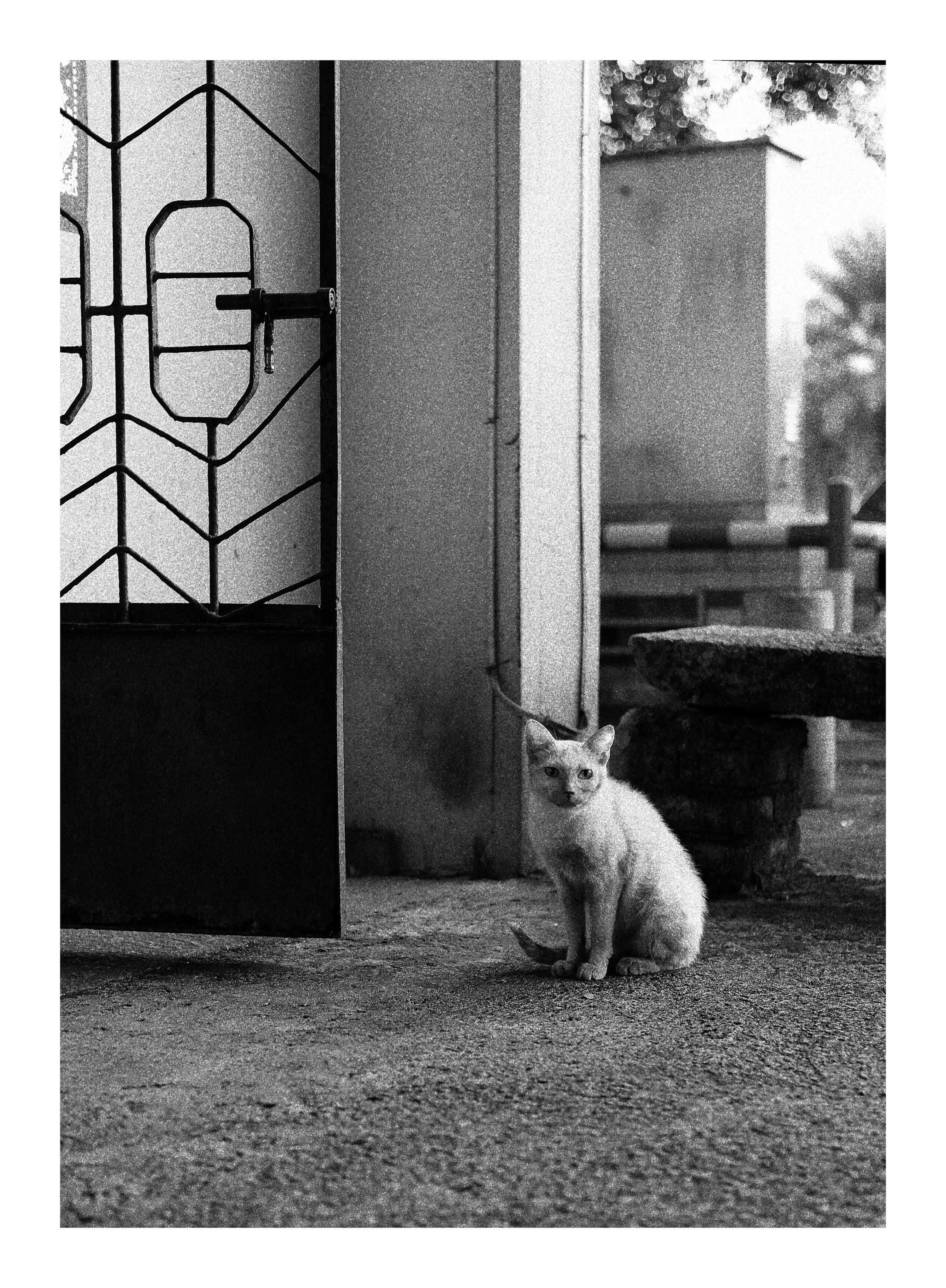 Someone Is Watching