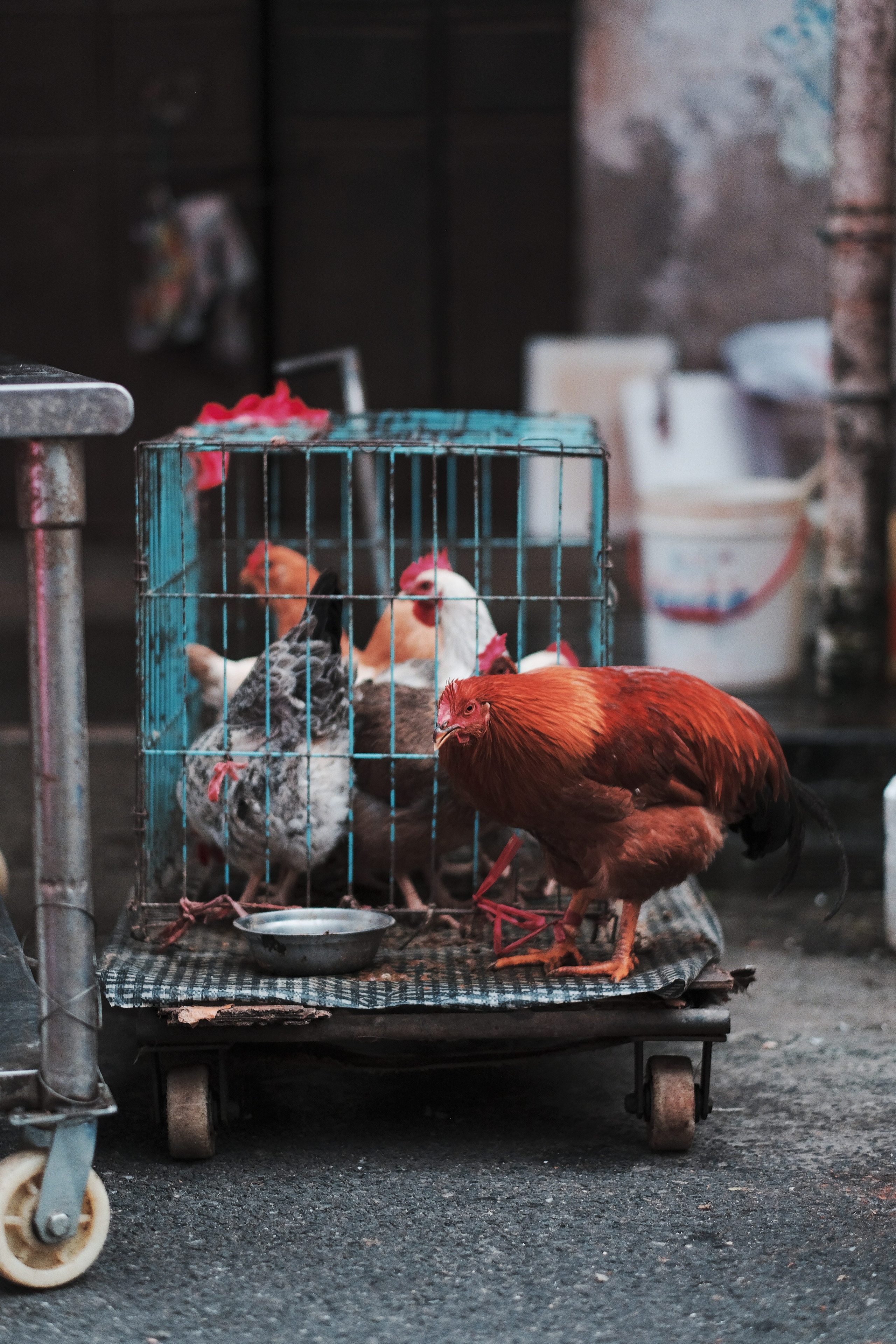 Candid Street Photography Jiangmen City - Street Market