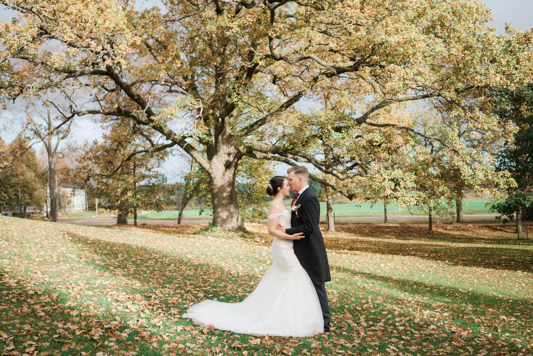 kiialan kartano häät