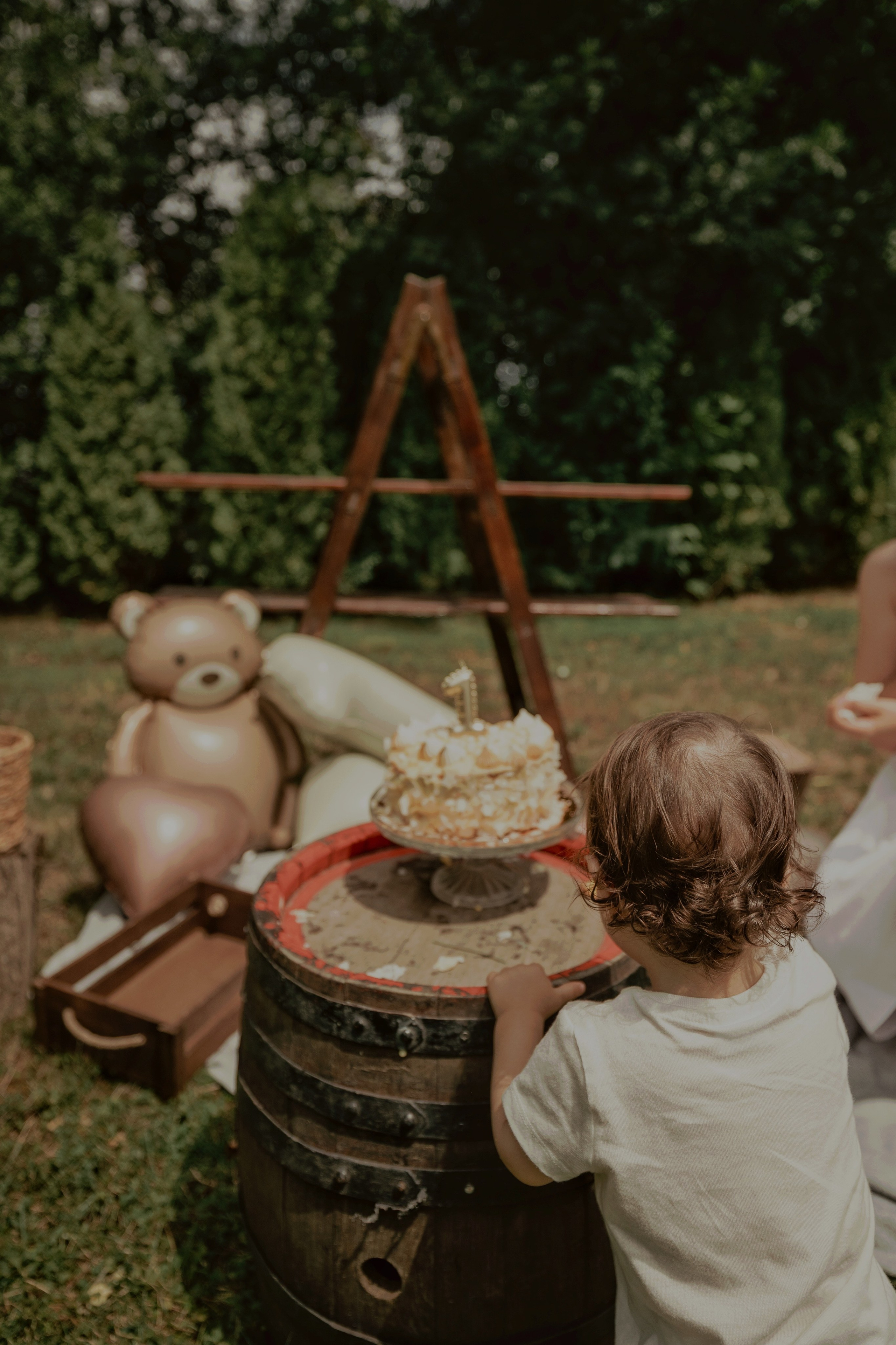 Armin — Micul explorator împlinește 1 an. Emotions Photo Art