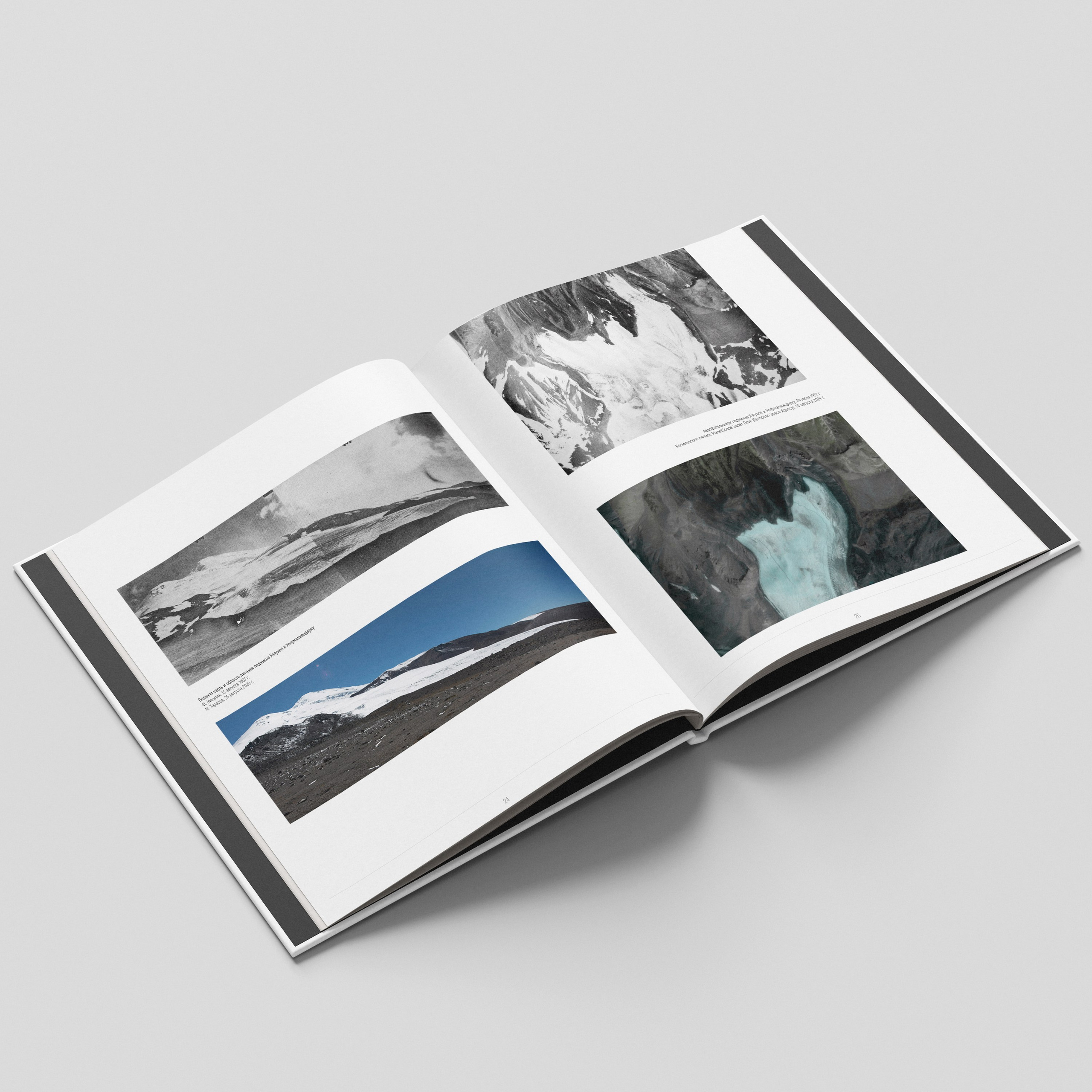 Books. Nelly Elagina