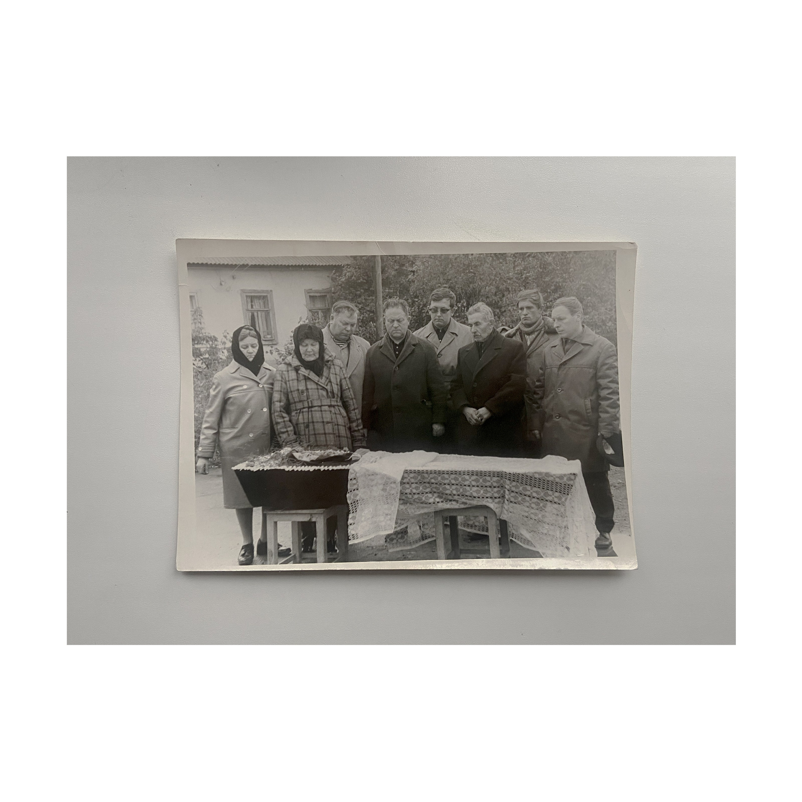 Phoenix. Nelly Elagina