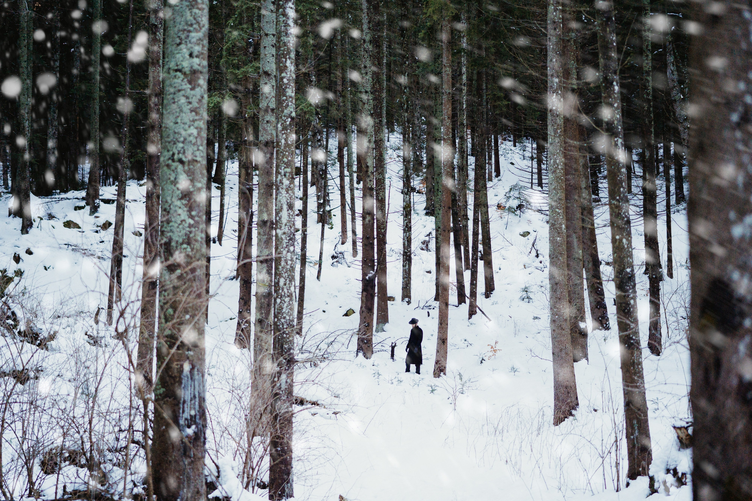 Dragos Dumitru. Cosminvirlan.ro