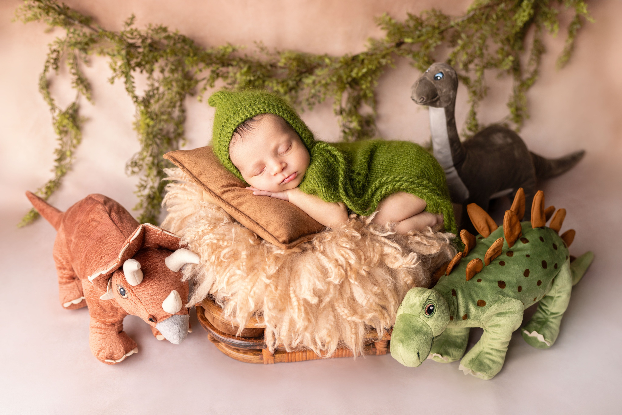 Packages and pricing. JaneProPhoto | Tampa Newborn Photographer