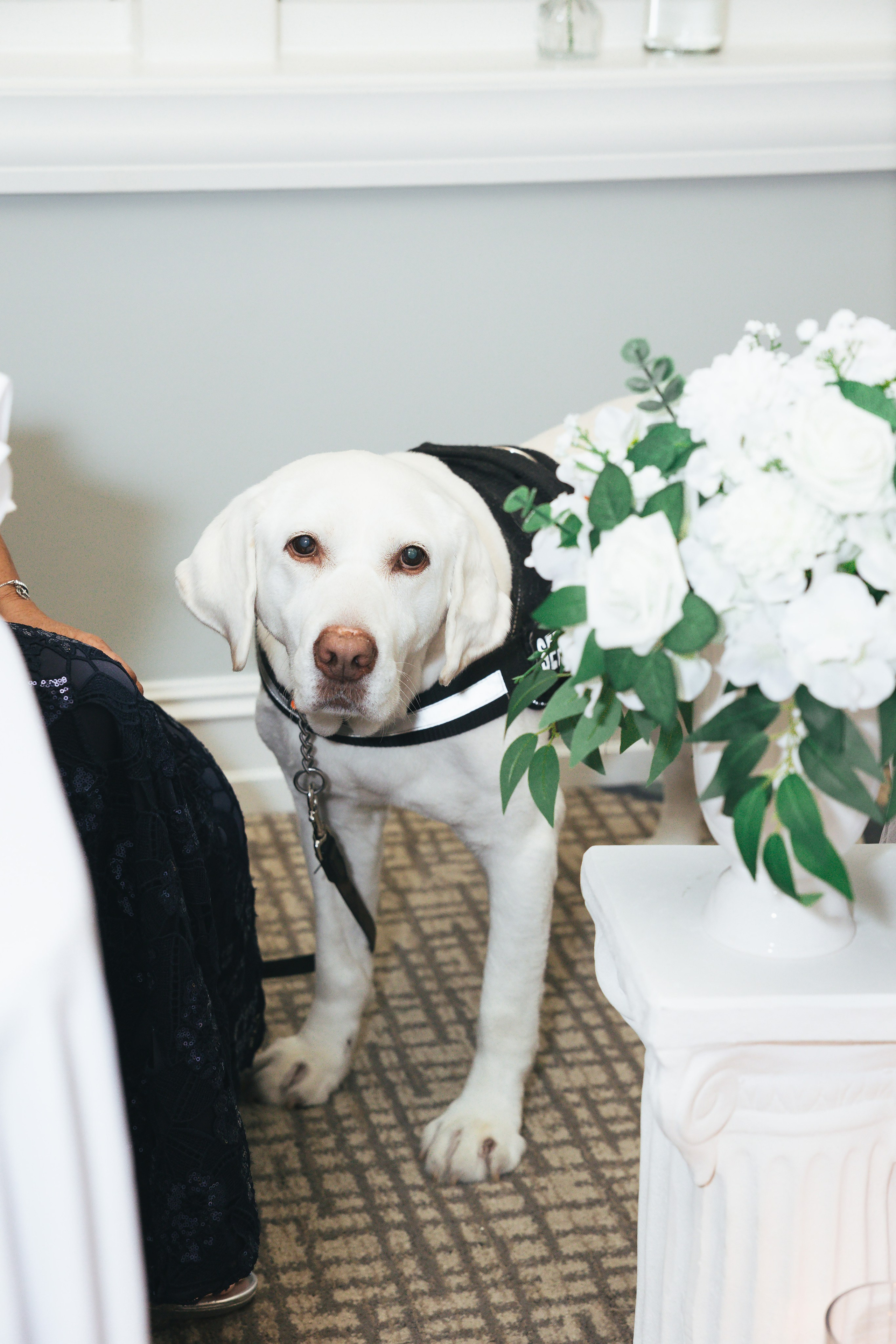 …s, and elegant wedding photography. Harborside Chapel Wedding | Safety Harbor Wedding Photographer