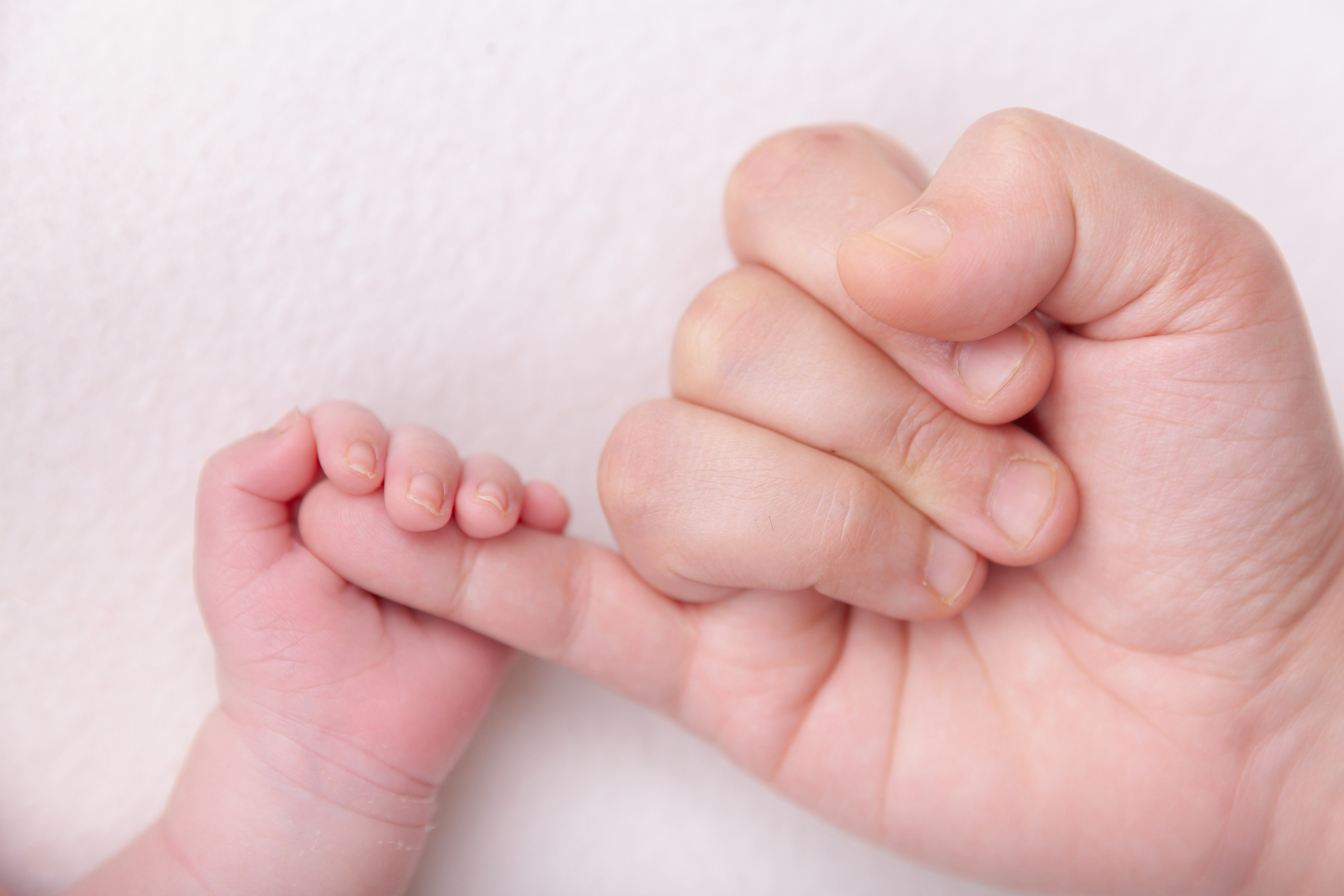 Newborn posing session. Marina Pravda Photography San Francisco Bay Area
