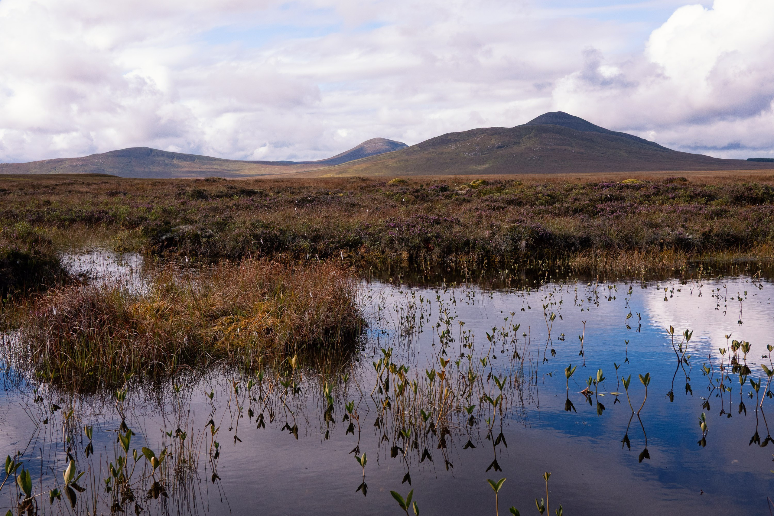 UK Landscape & Seascape Gallery. Hedley Wright Photography | East Anglia Sport, Street, Wildlife, Landscape & Astrophotography