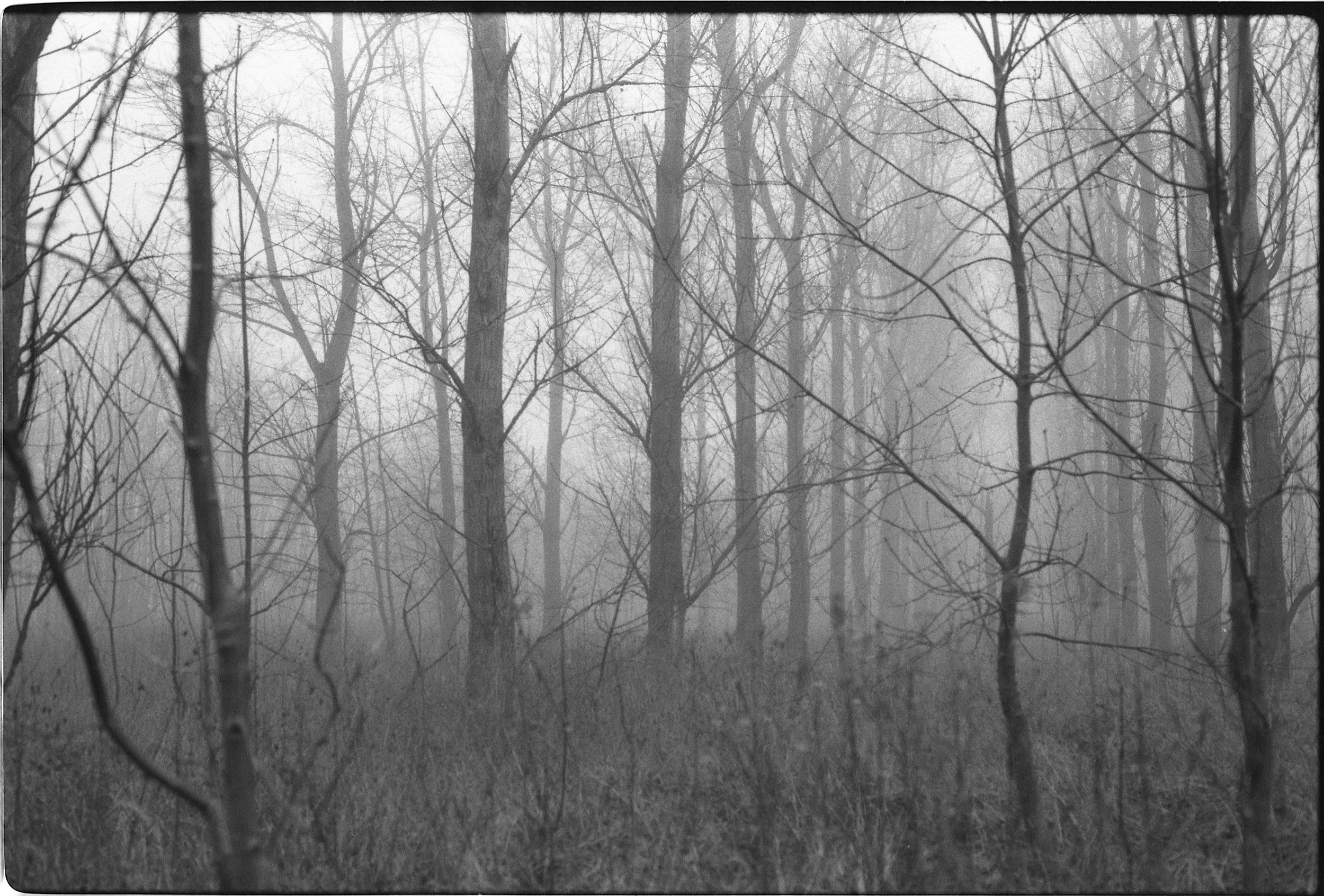 Oosterwold Photography Project. Portrait Photographer in Brussels & Amsterdam — Victoria Ushkanova