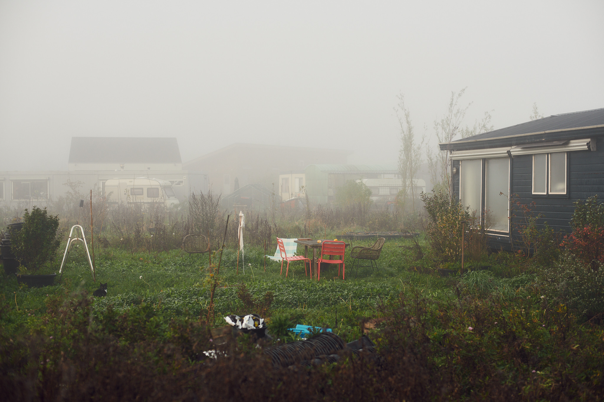 Oosterwold Photography Project. Portrait Photographer in Brussels & Amsterdam — Victoria Ushkanova