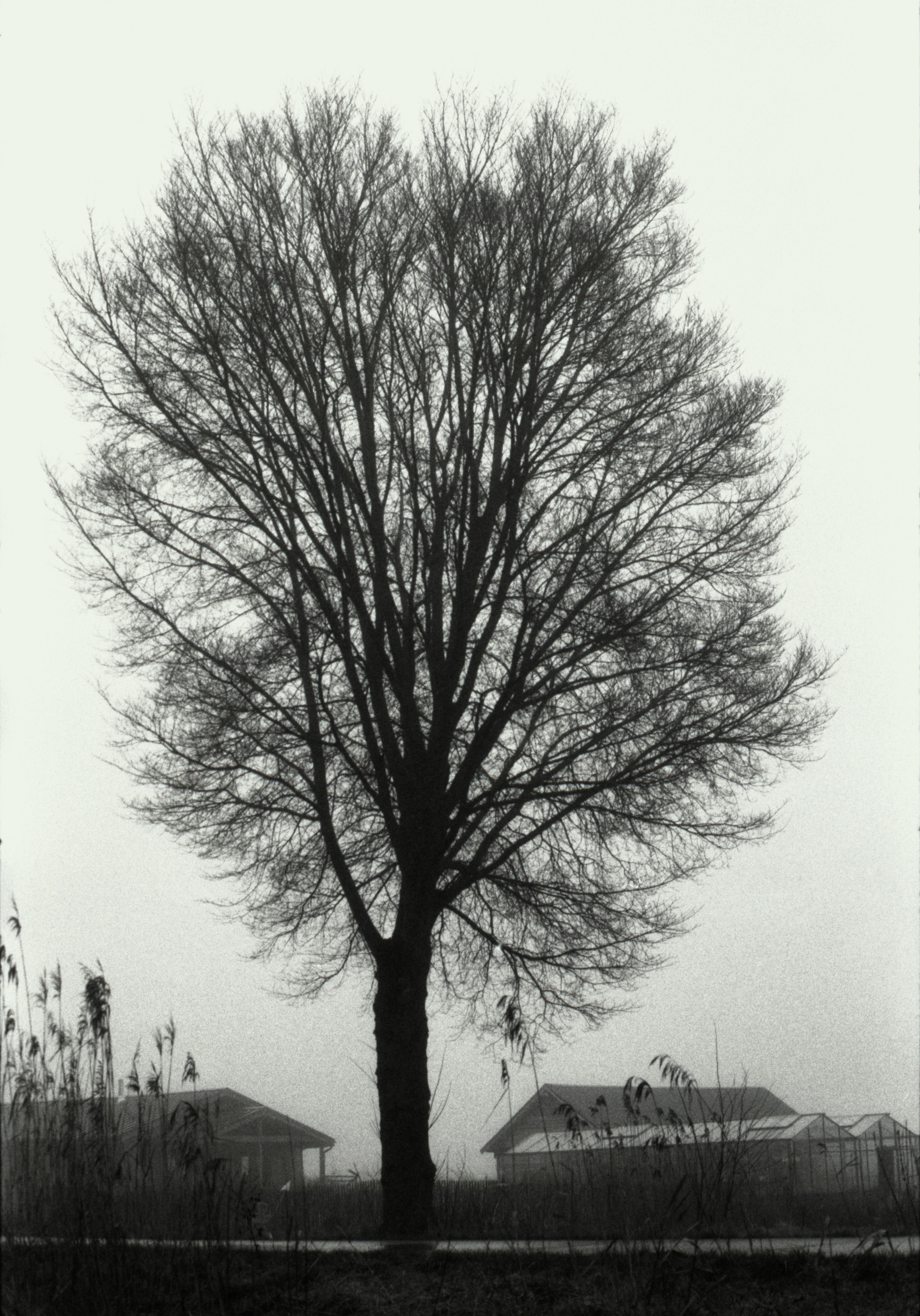 Oosterwold Photography Project. Portrait Photographer in Brussels & Amsterdam — Victoria Ushkanova