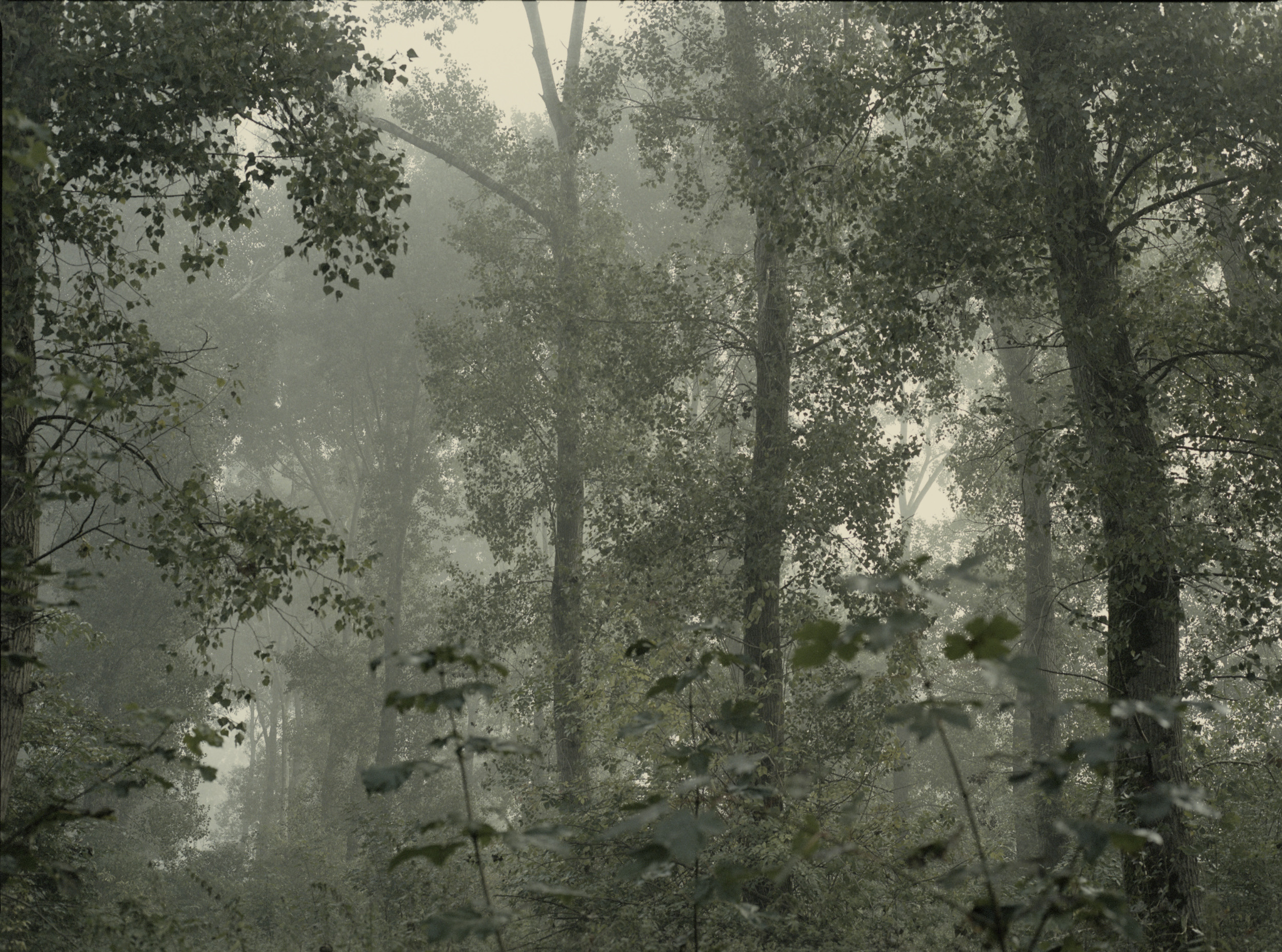 Oosterwold Photography Project. Portrait Photographer in Brussels & Amsterdam — Victoria Ushkanova