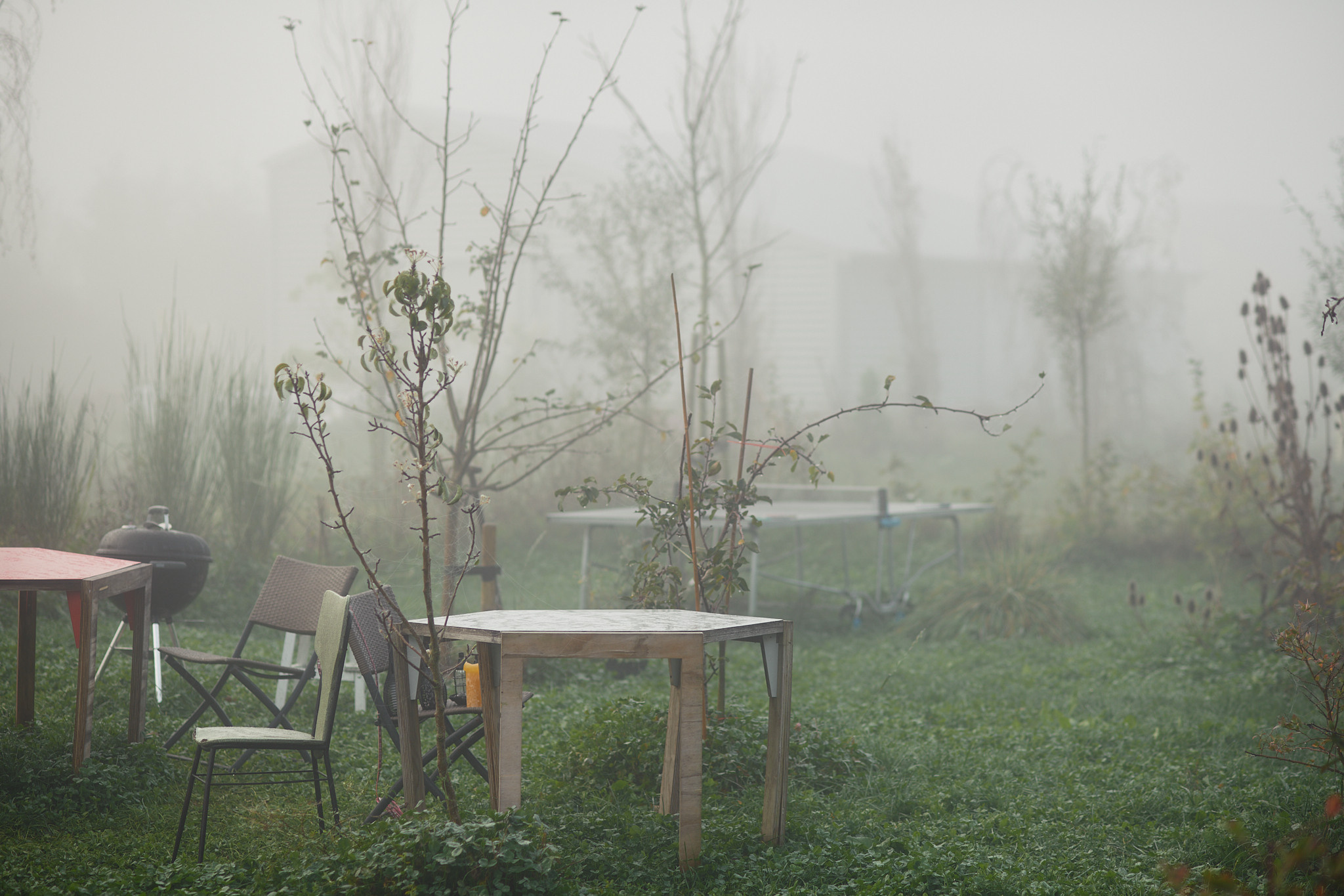 Oosterwold Photography Project. Portrait Photographer in Brussels & Amsterdam — Victoria Ushkanova