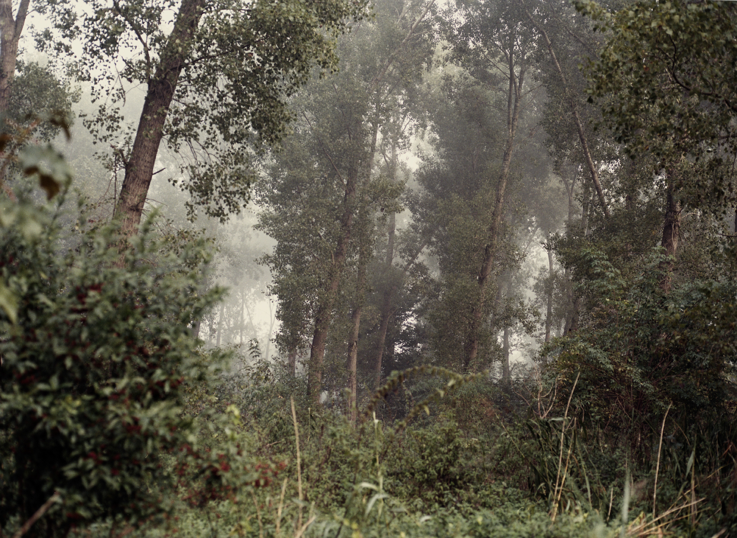 Oosterwold Photography Project. Portrait Photographer in Brussels & Amsterdam — Victoria Ushkanova