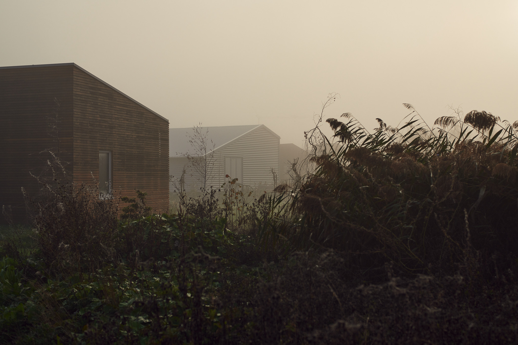 Oosterwold Photography Project. Portrait Photographer in Brussels & Amsterdam — Victoria Ushkanova