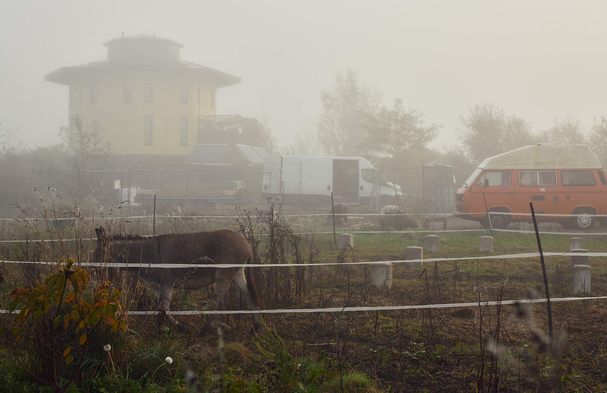 Oosterwold Photography Project. Portrait Photographer in Brussels & Amsterdam — Victoria Ushkanova