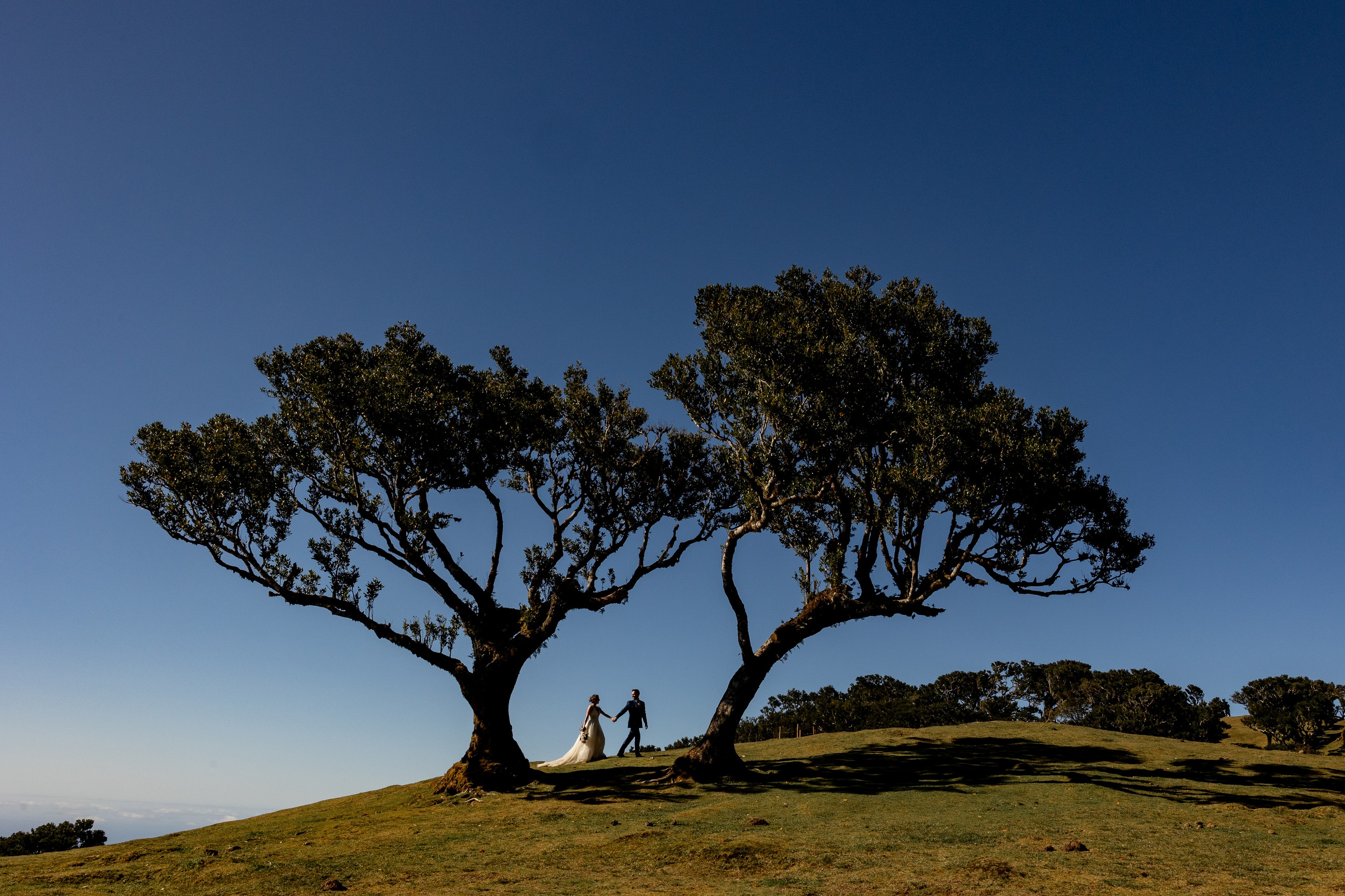 Madeira Elopement Photoshoot | Romantic Couple Session in Madeira Island. Lisbon Wedding Photographer | Elegant Wedding Storytelling