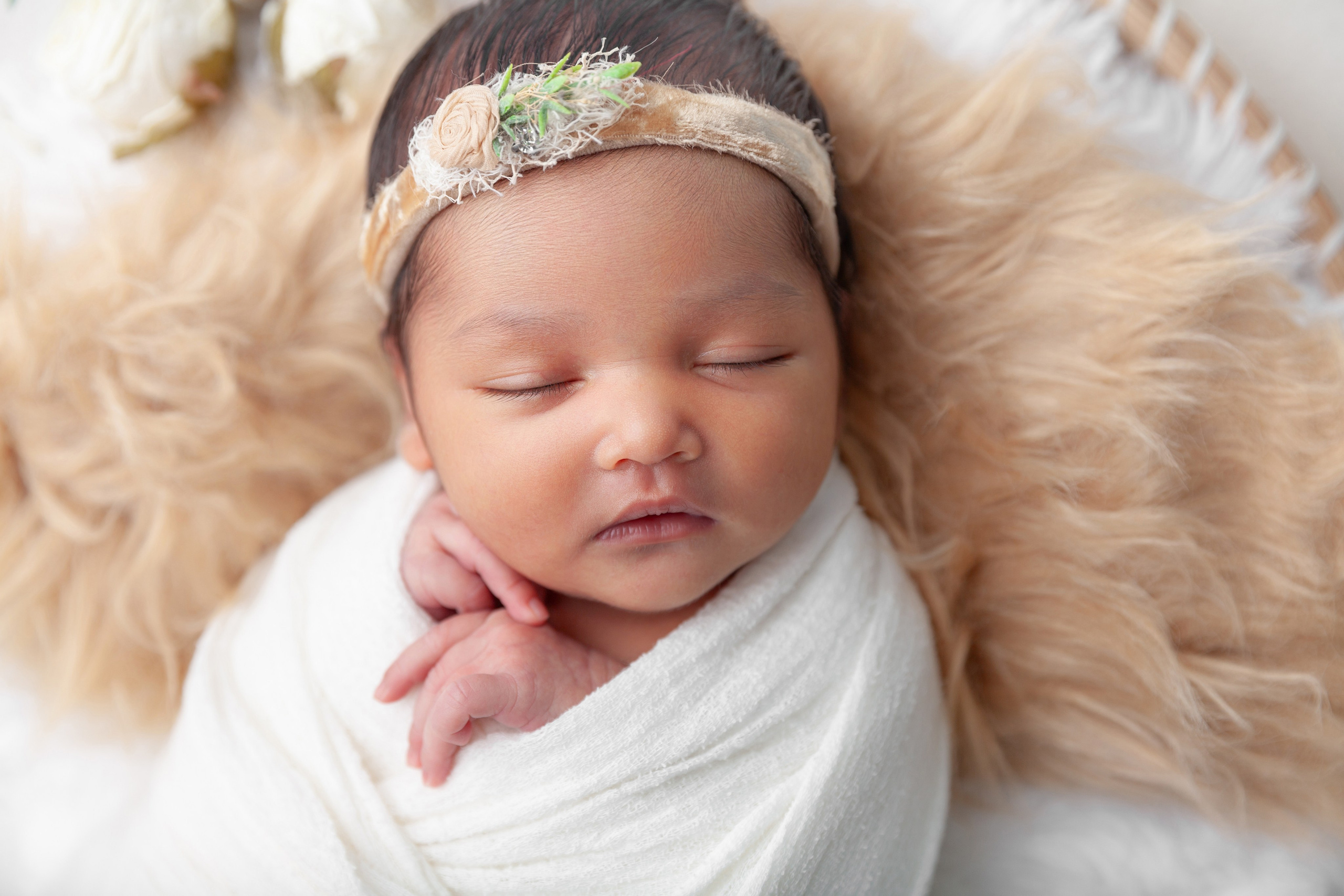 Services. Marina Pravda Photography San Francisco Bay Area