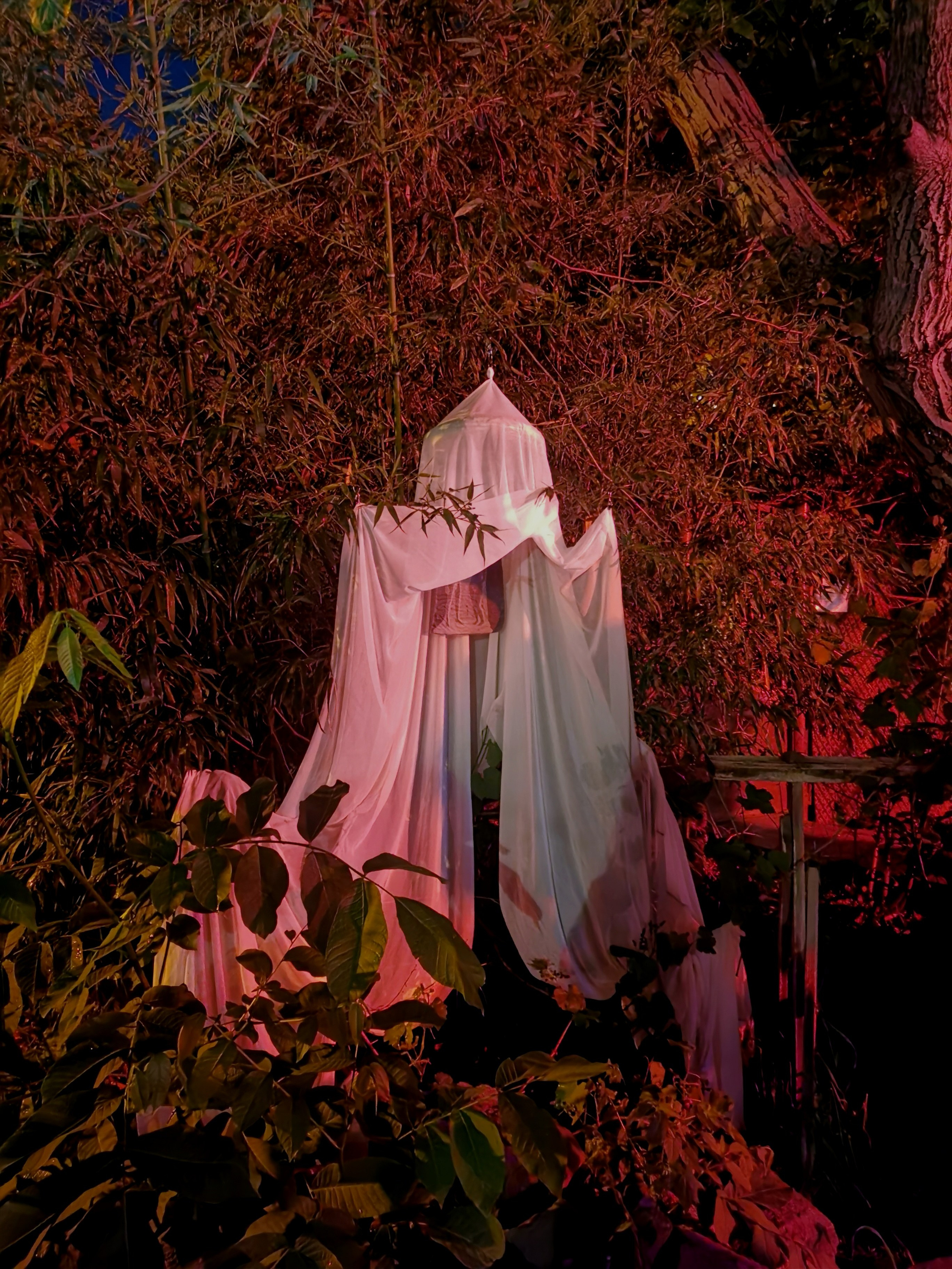 Installations. Visual artist