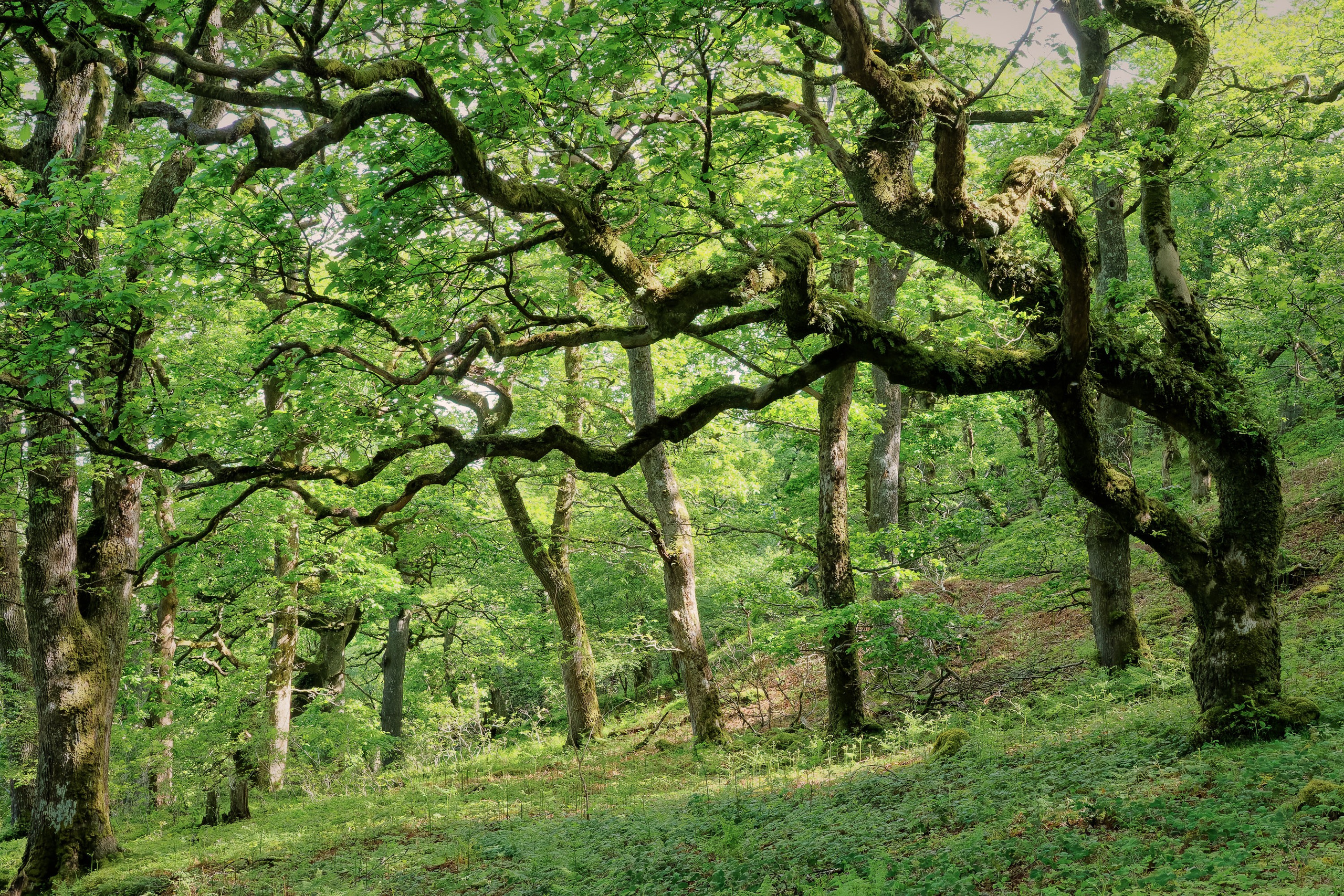UK Landscape & Seascape Gallery. Hedley Wright Photography | East Anglia Sport, Street, Wildlife, Landscape & Astrophotography
