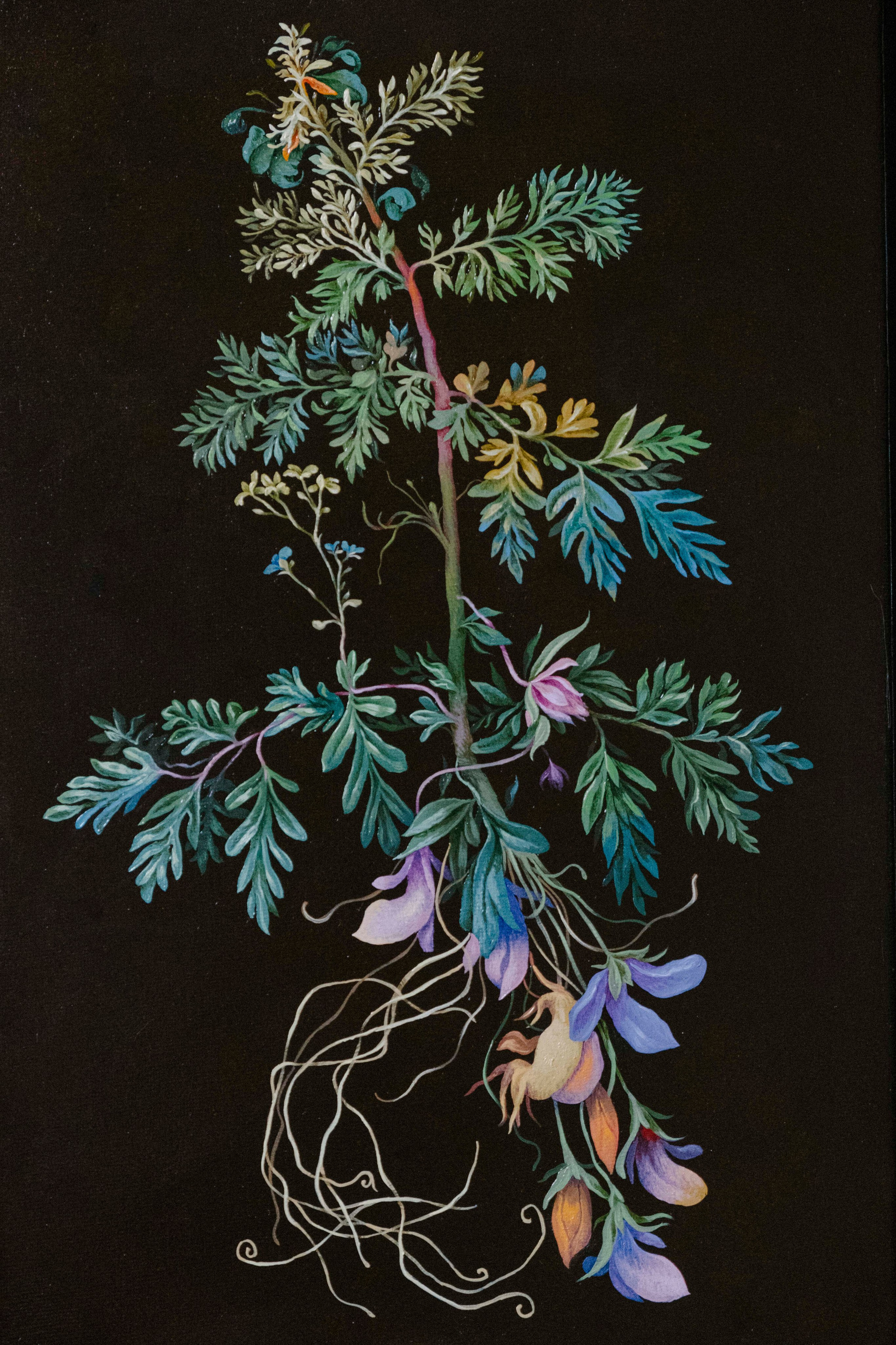 Botanical Etude No. 2. ELEN BEZHEN