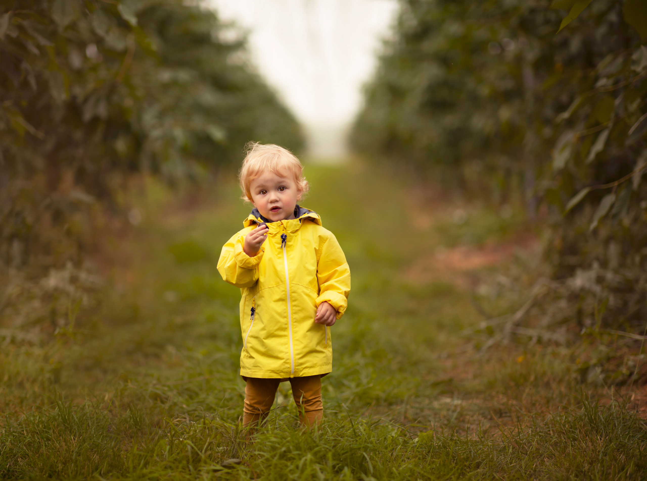 Familie en huwelijksfotograaf in Zwolle Overijssel