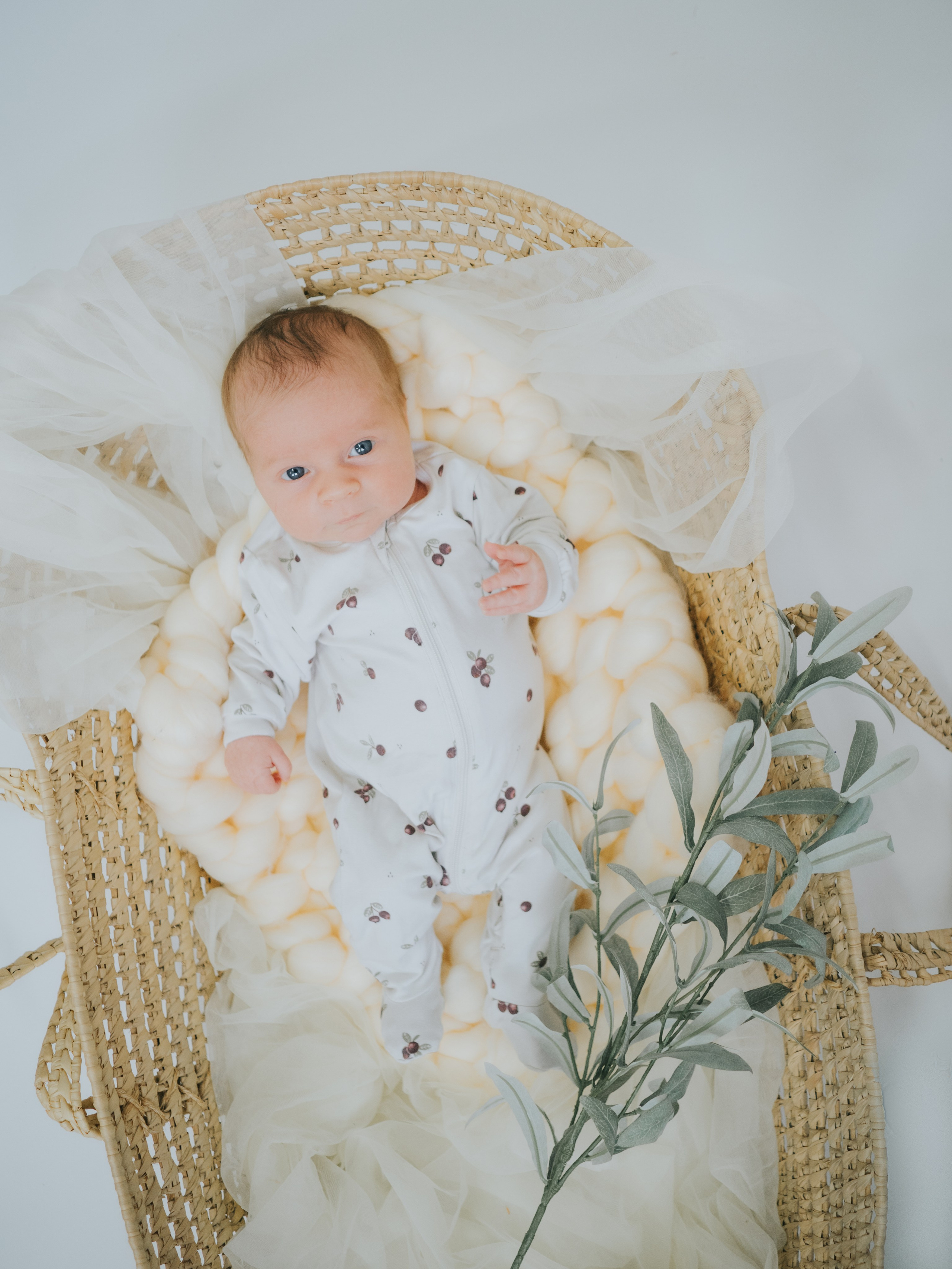 Newborn. Mimosa Studios — Motherhood & Family Photographer in Montreal