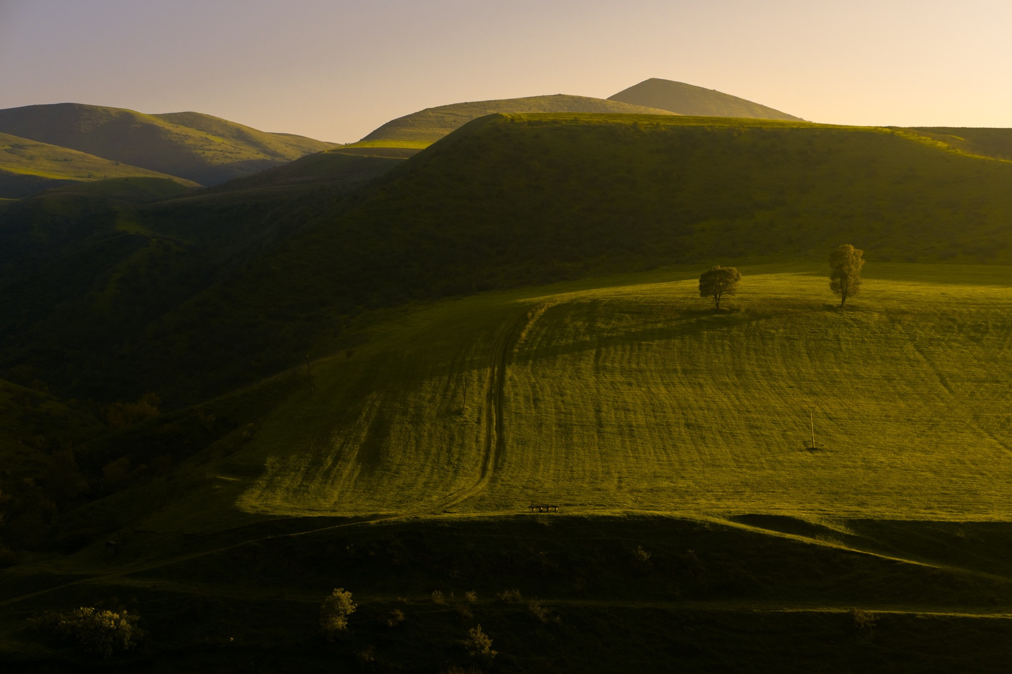 Təbiət Fotoqrafiyası və Portret Çəkilişləri. Bakıda Peşəkar Tədbir, Love Story və Təbiət Fotoqrafı — Elşən Baba
