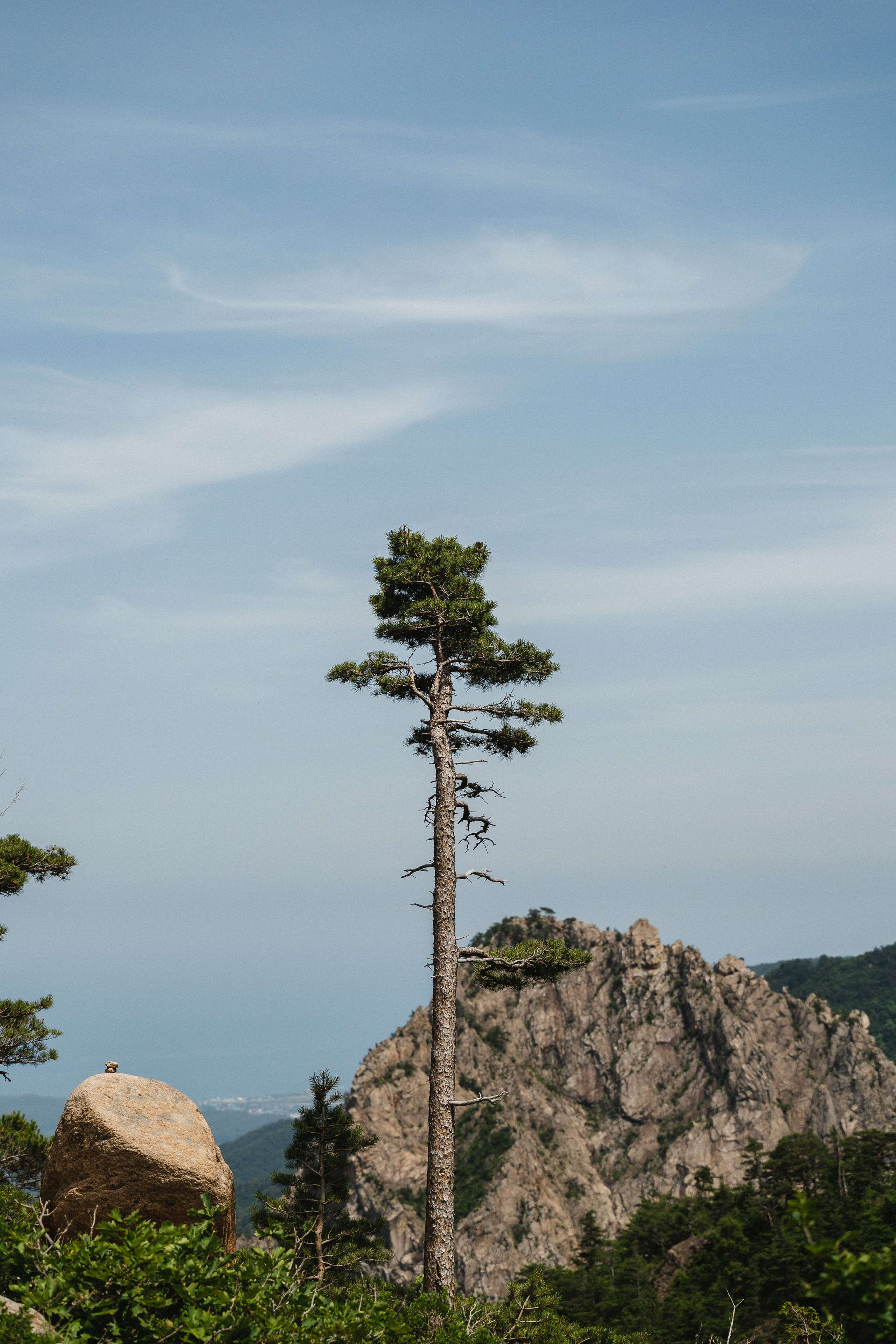 🇰🇷 Южная Корея. Фотограф и travel-блоггер Александра Гриценко
