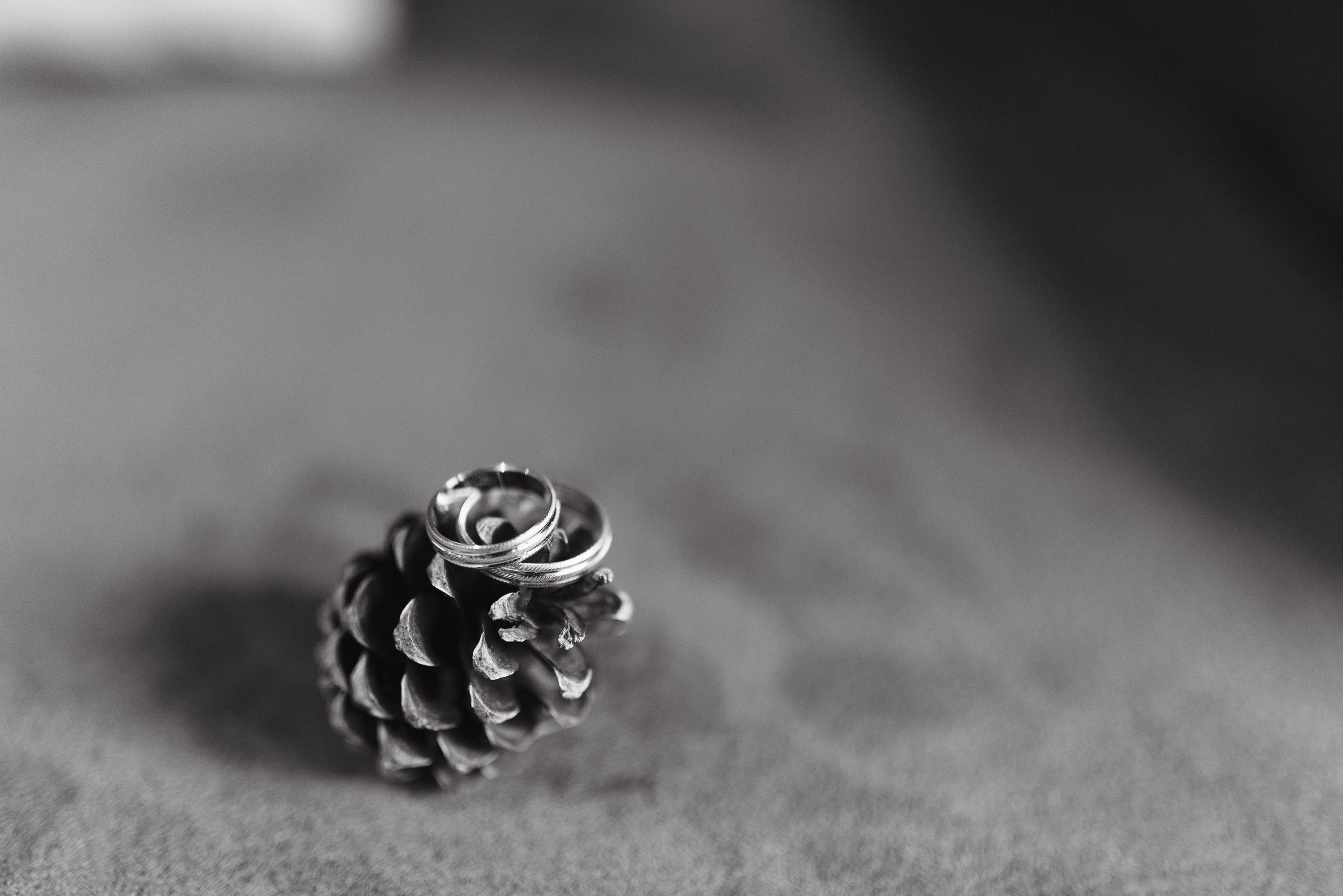 anillos novios