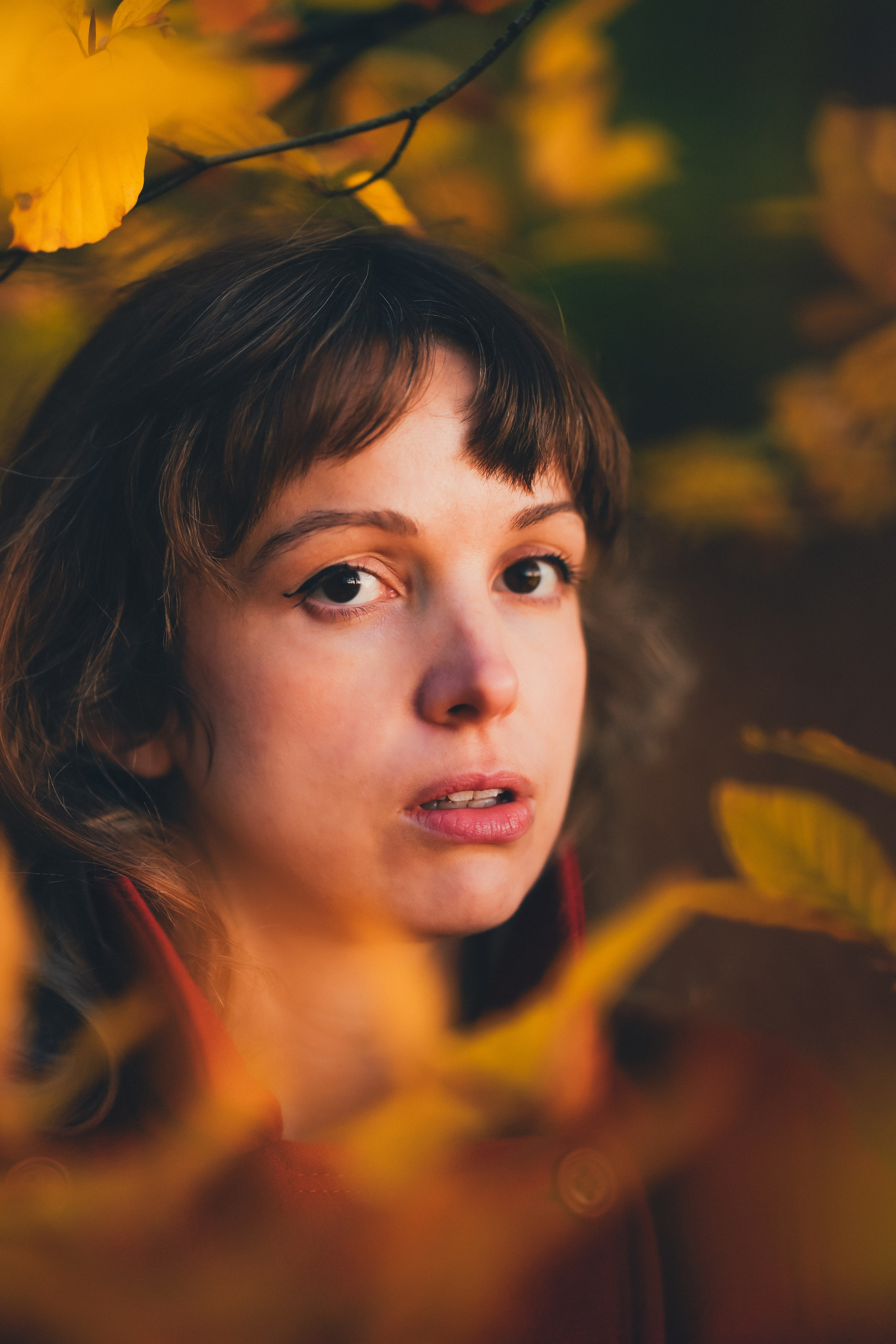 Portrait photography in the woods Solihull. Creative Family, Brand, Boudoir and Wedding Photographer in Solihull & Birmingham Irina Zoteeva