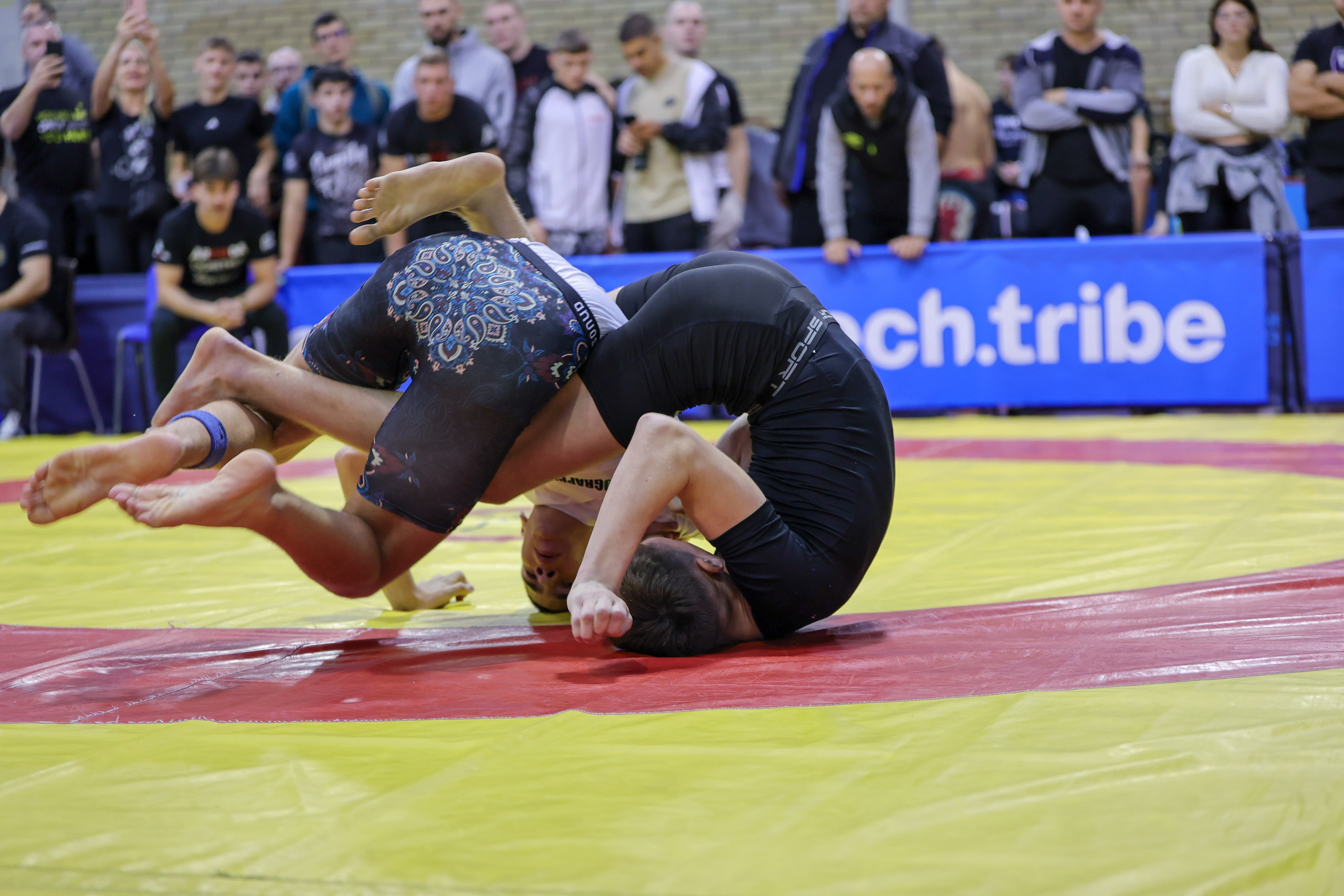 NO GI Challenge Novi Sad