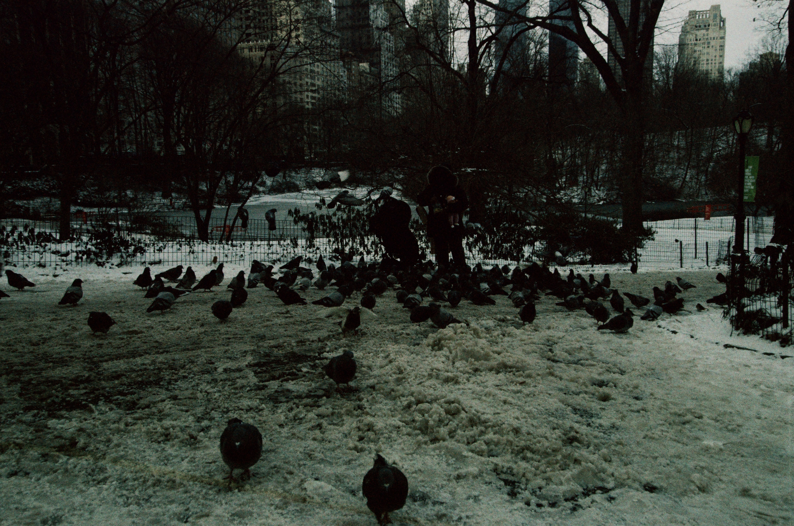 Нью-Йорк в январе: холодно, но волшебно!