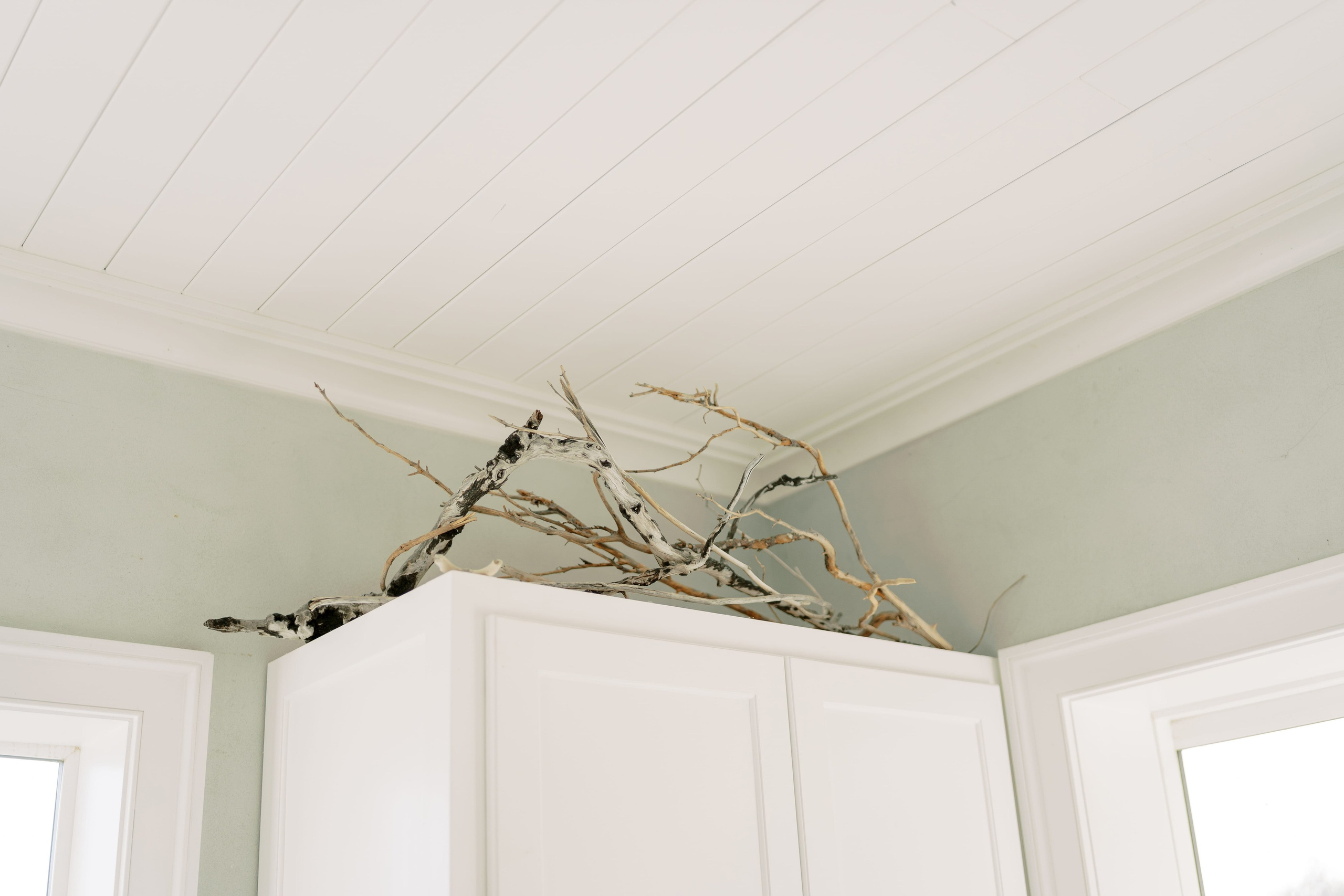 Rachel & Ryan Wedding photoshoot. August 2024. Anderson Island, WA Day 1. EVAN ARISTOV WEDDING PHOTOGRAPHY — Seattle Wedding Photographer