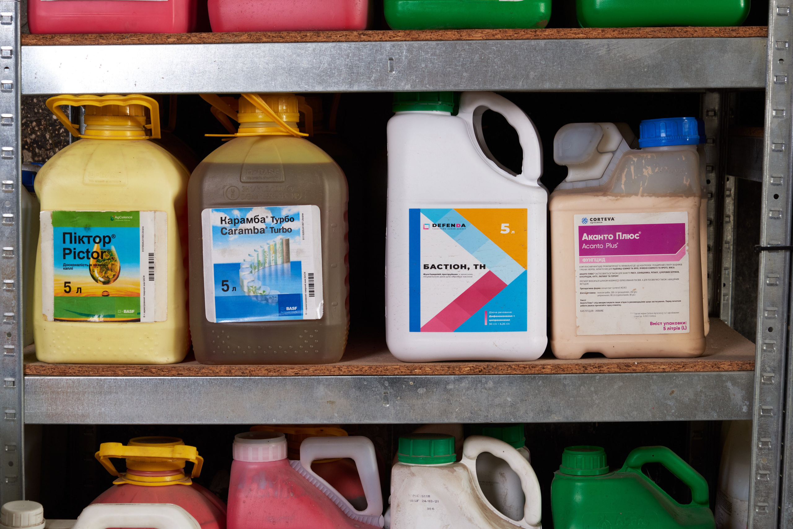 Піктор, Карамба Турбо, Бастіон, ТН