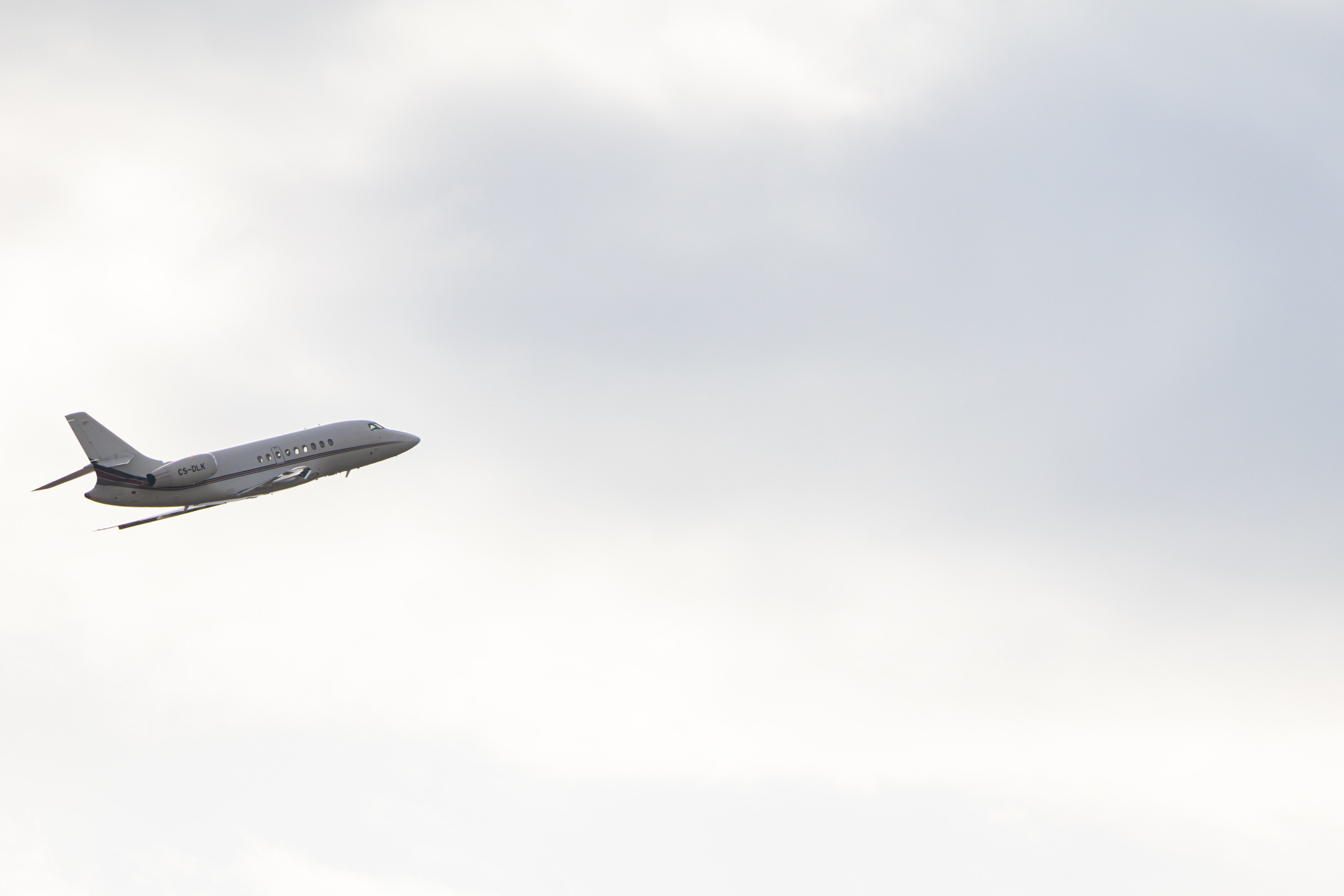 ფრთა ბუმბულისა და ფრთა რკინისა. FramefreeMan