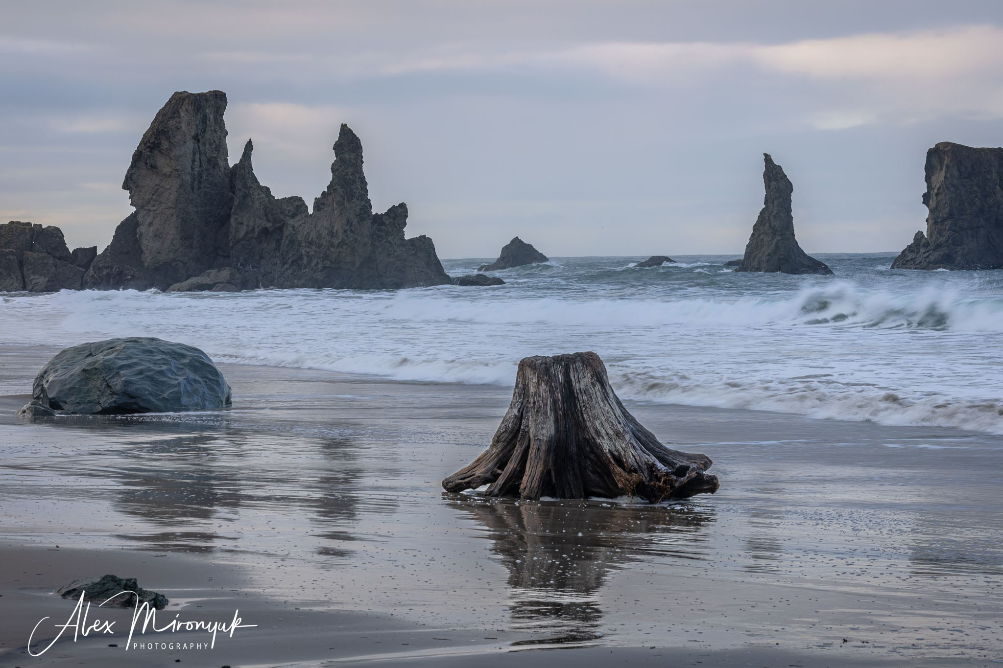 Oregon Coast Photo Workshop. Pet, Senior, Landscape, portrait studio, photographer in Miami and Sou