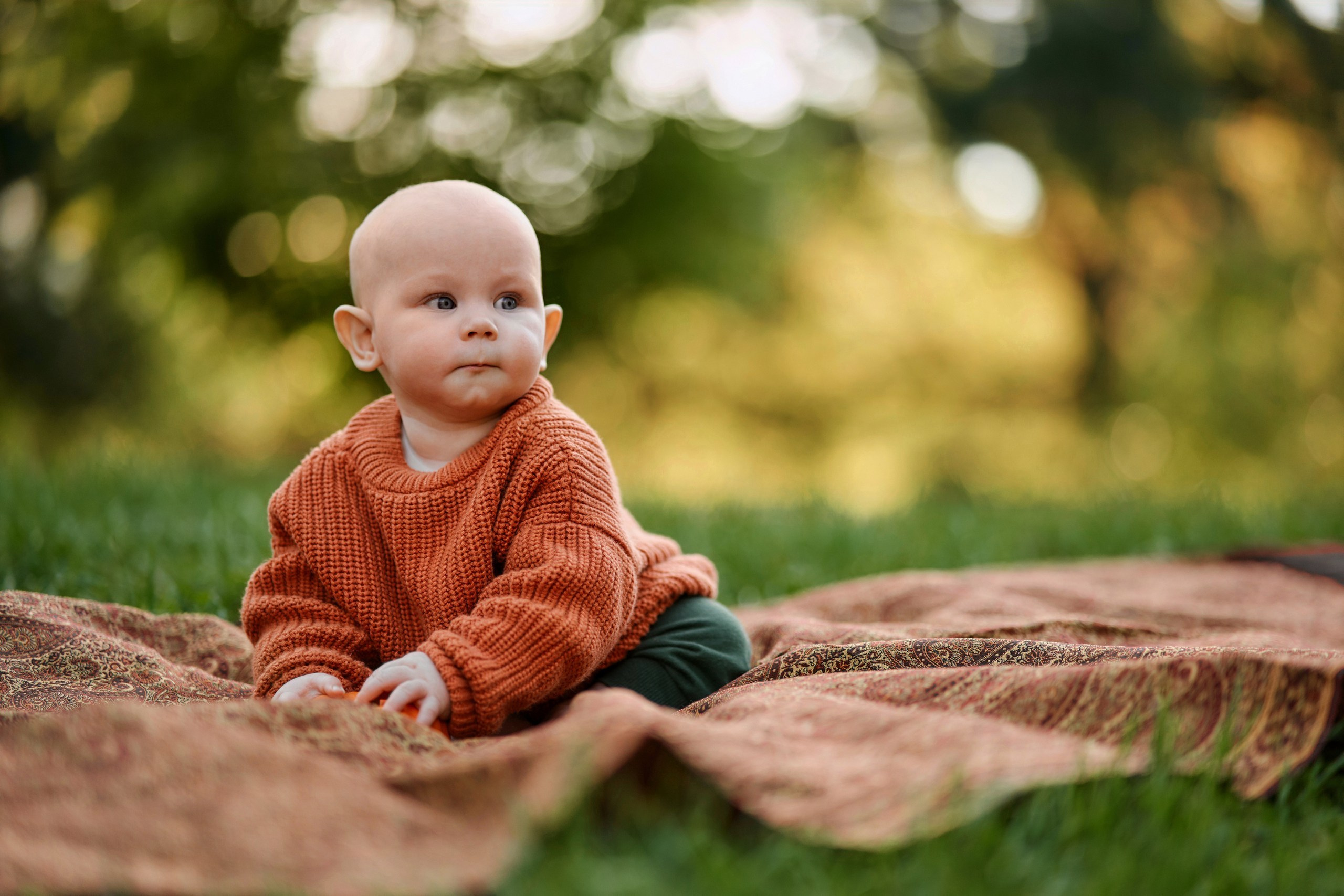 Family photo service New York / Experienced photographer. Professional Wedding and event photographer USA New York