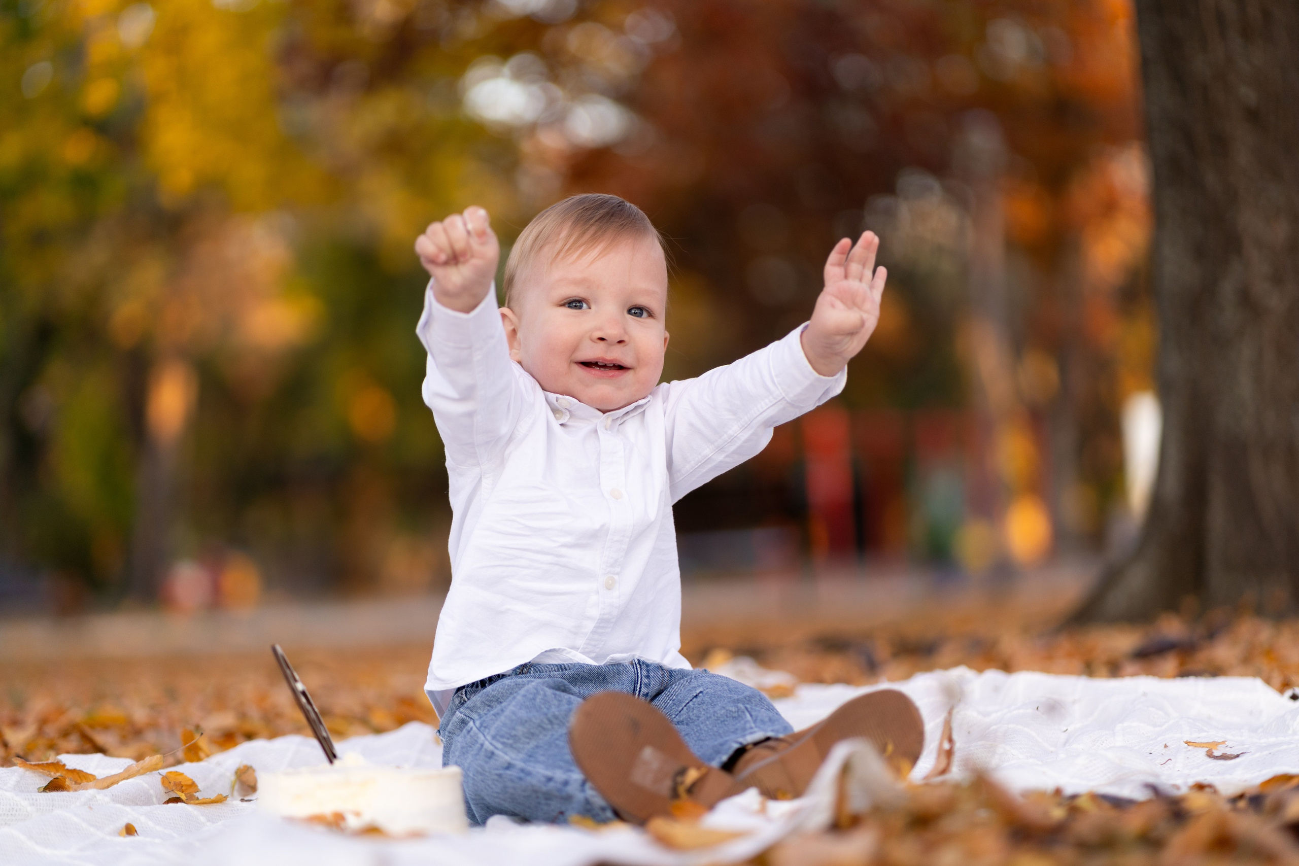 Smash the cake. Fotograf evenimente, fotograf nunta, fotograf botez