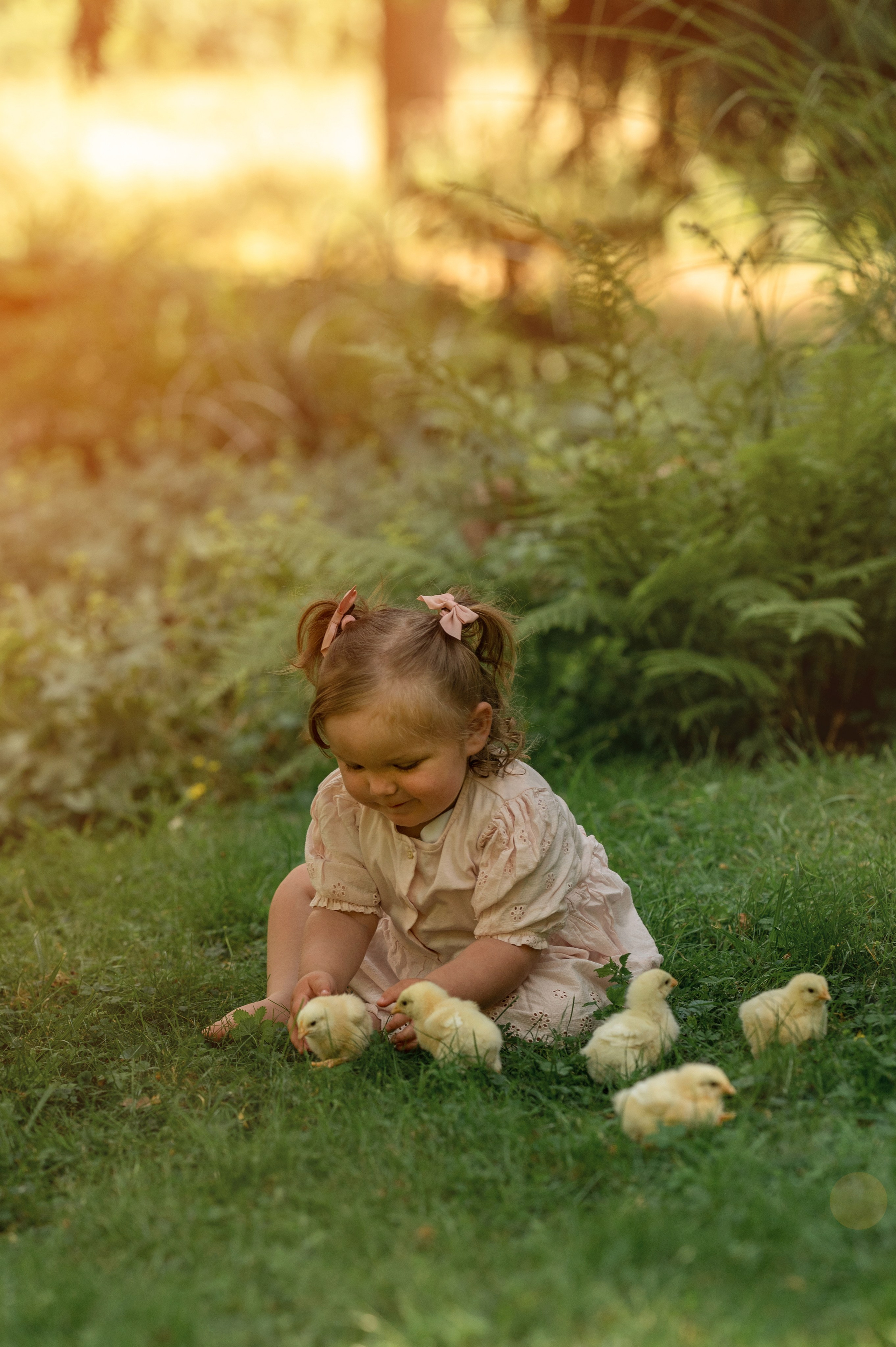 Fototag „Küken“. Newbornfotograf Kinderfotograf Ulm Familienfotograf Anastasia Neu-Ulm