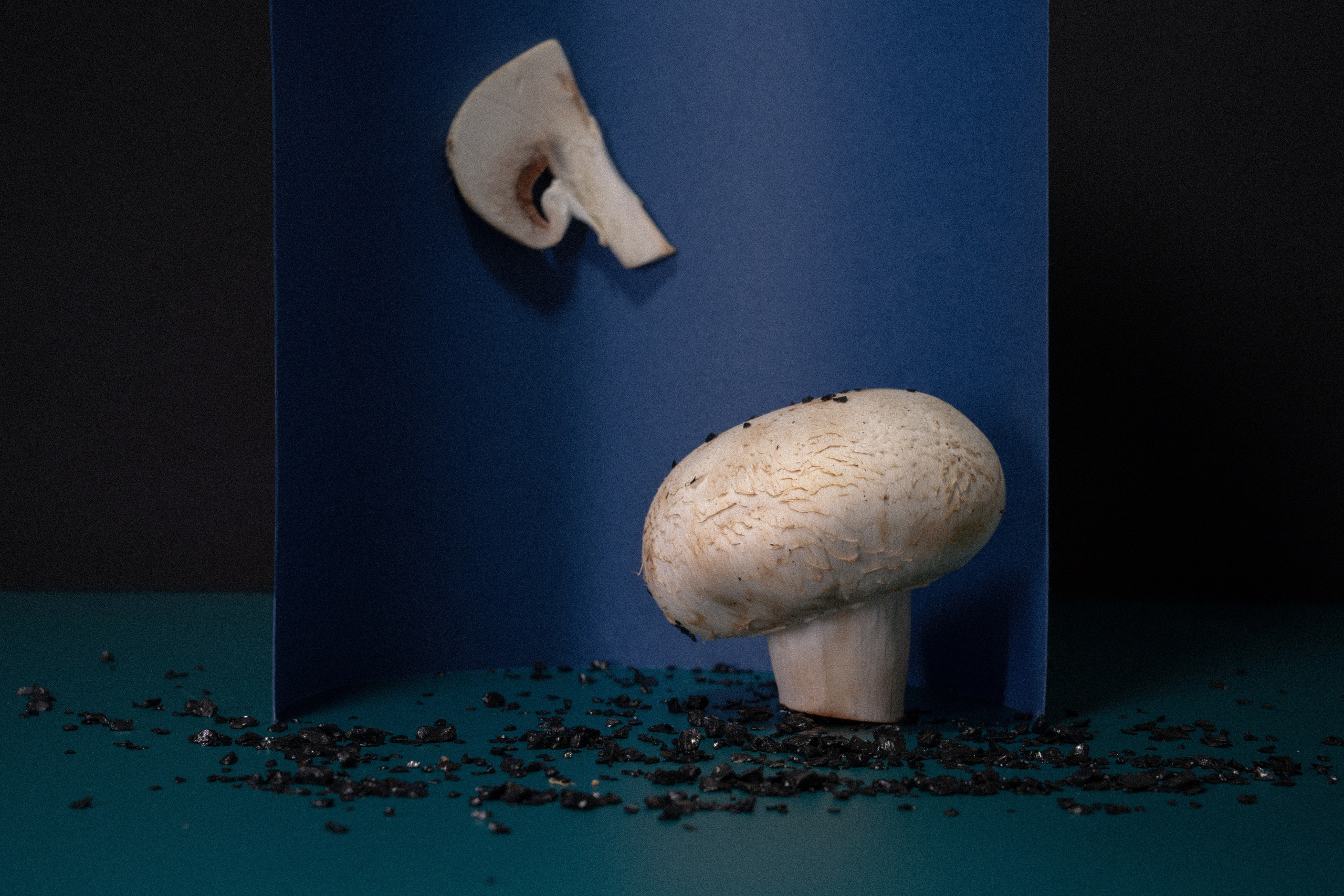 Factory (2023). Ant | photo