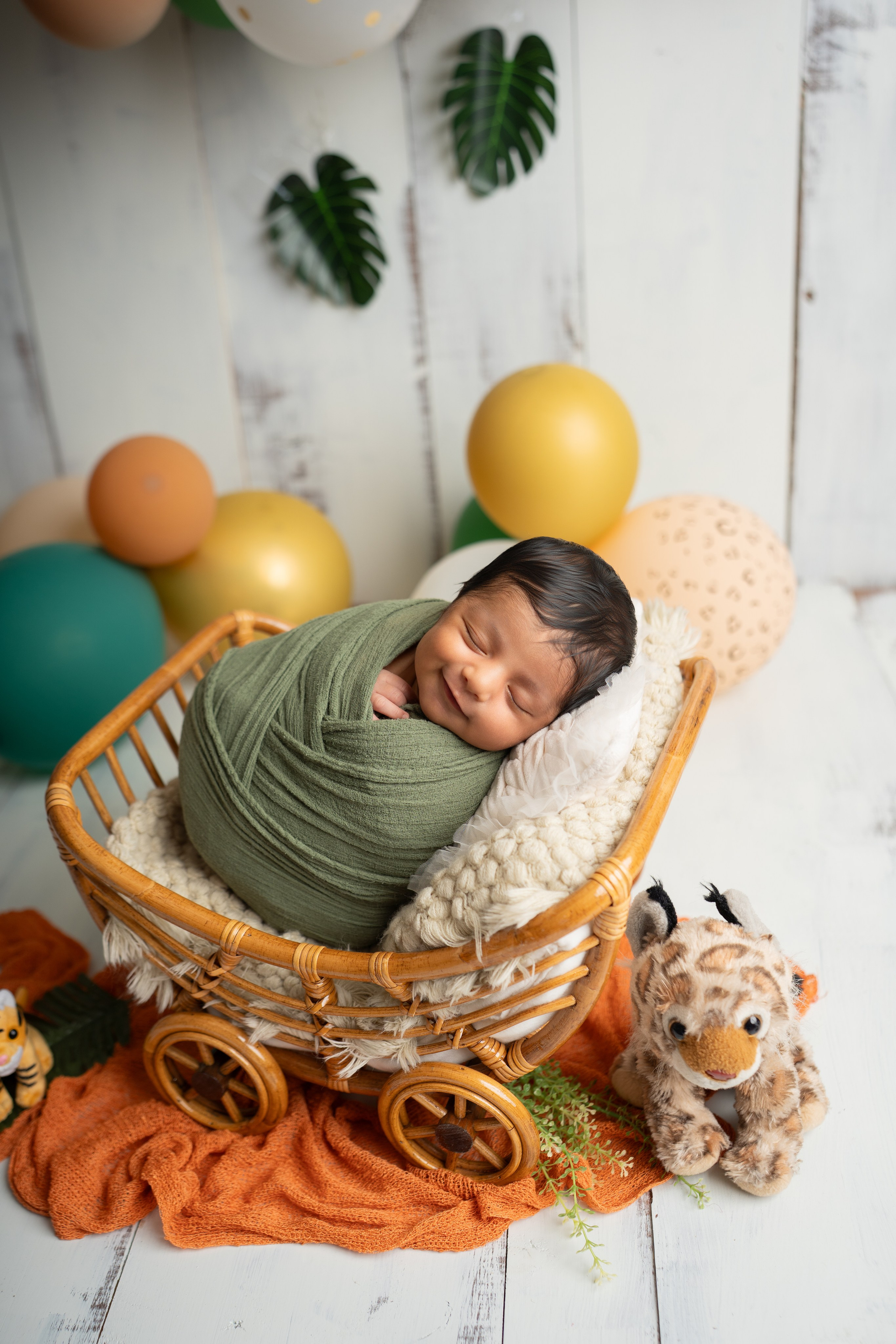 Posed Newborn. Maternity, family and newborn photography in San Francisco Bay Area