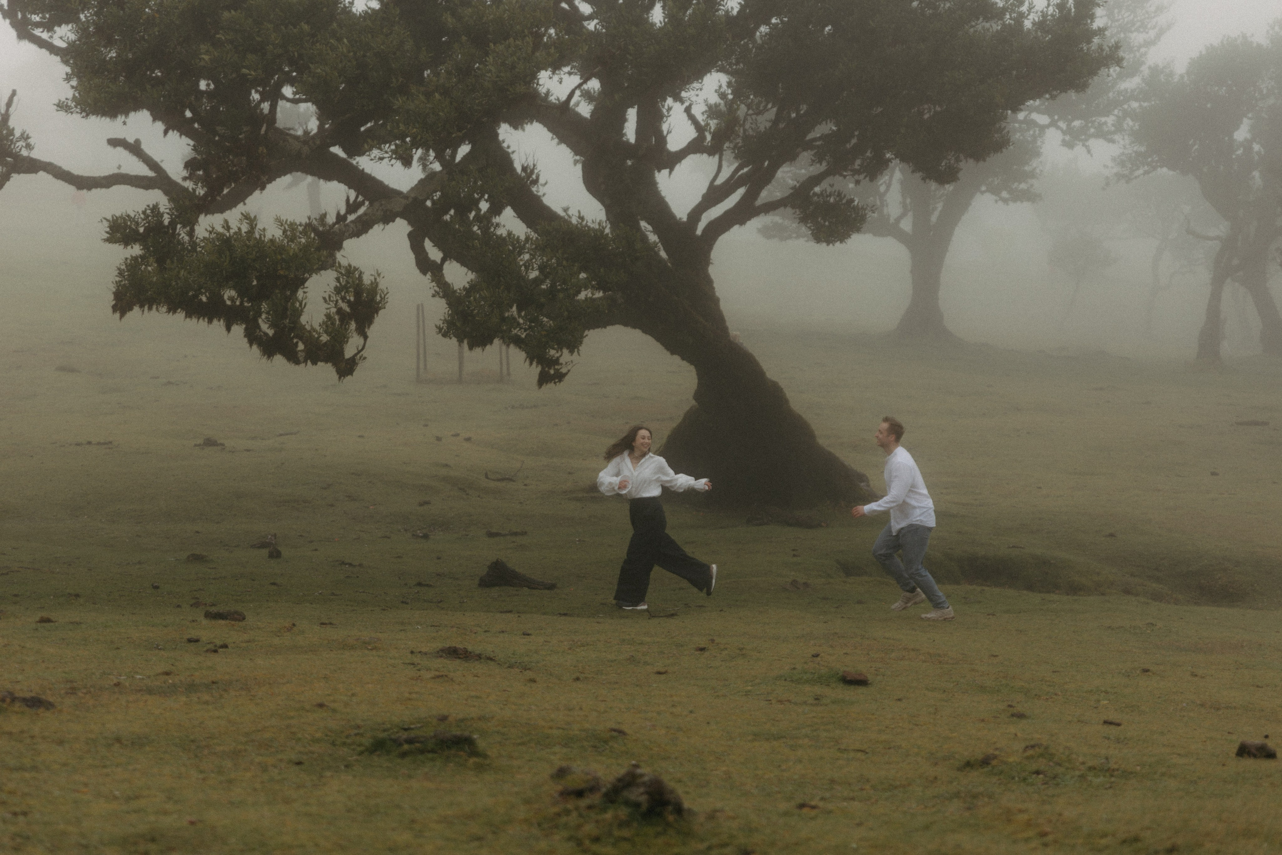 Magic of Fanal Forest. Wedding photographer and videographer based in Timisoara, Romania