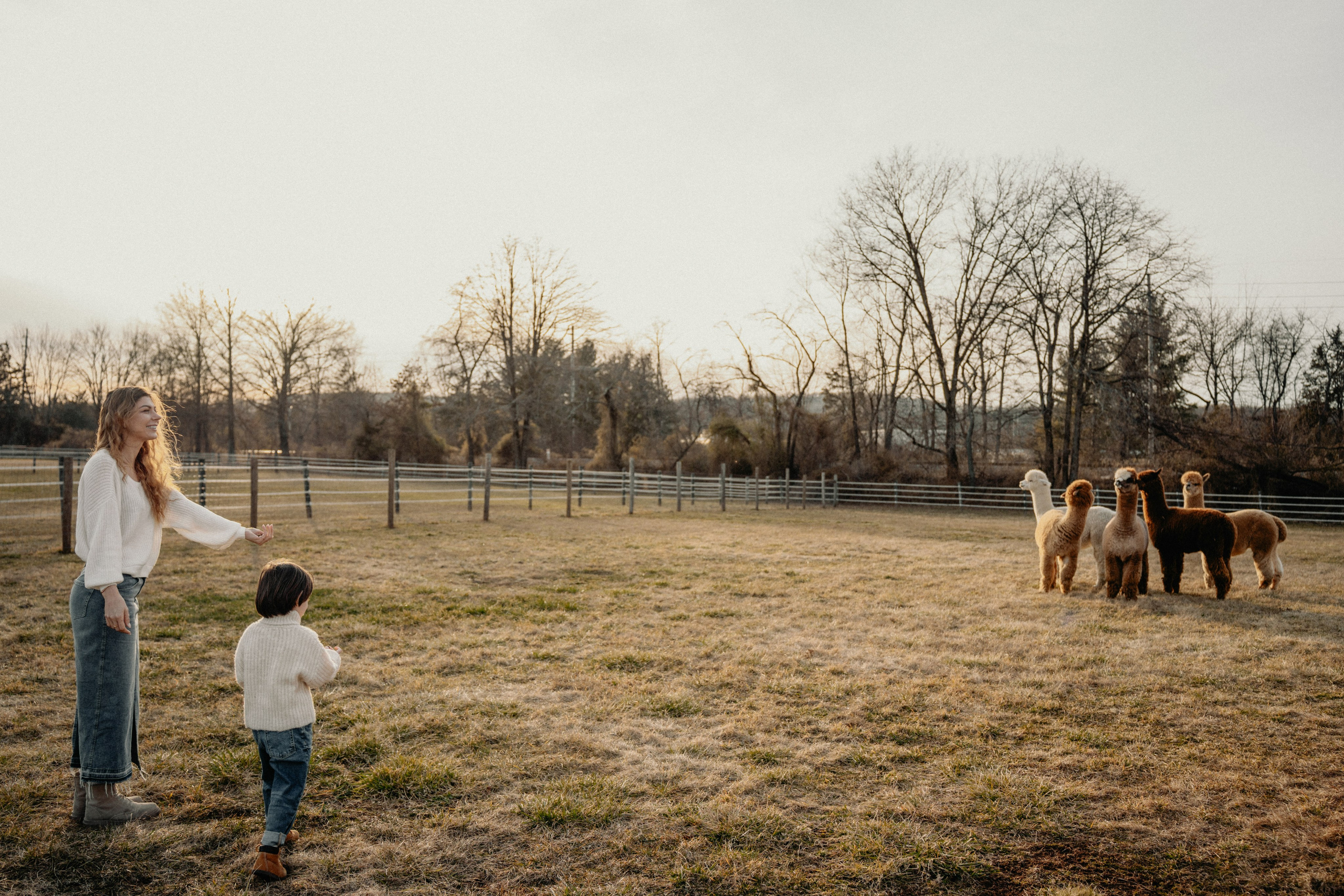 Unique Family Photography at an Alpaca Farm – Fun & Playful. Alisa Tant — Family and newborn photographer Bucks County, Montgomery county, Philadelphia, NJ