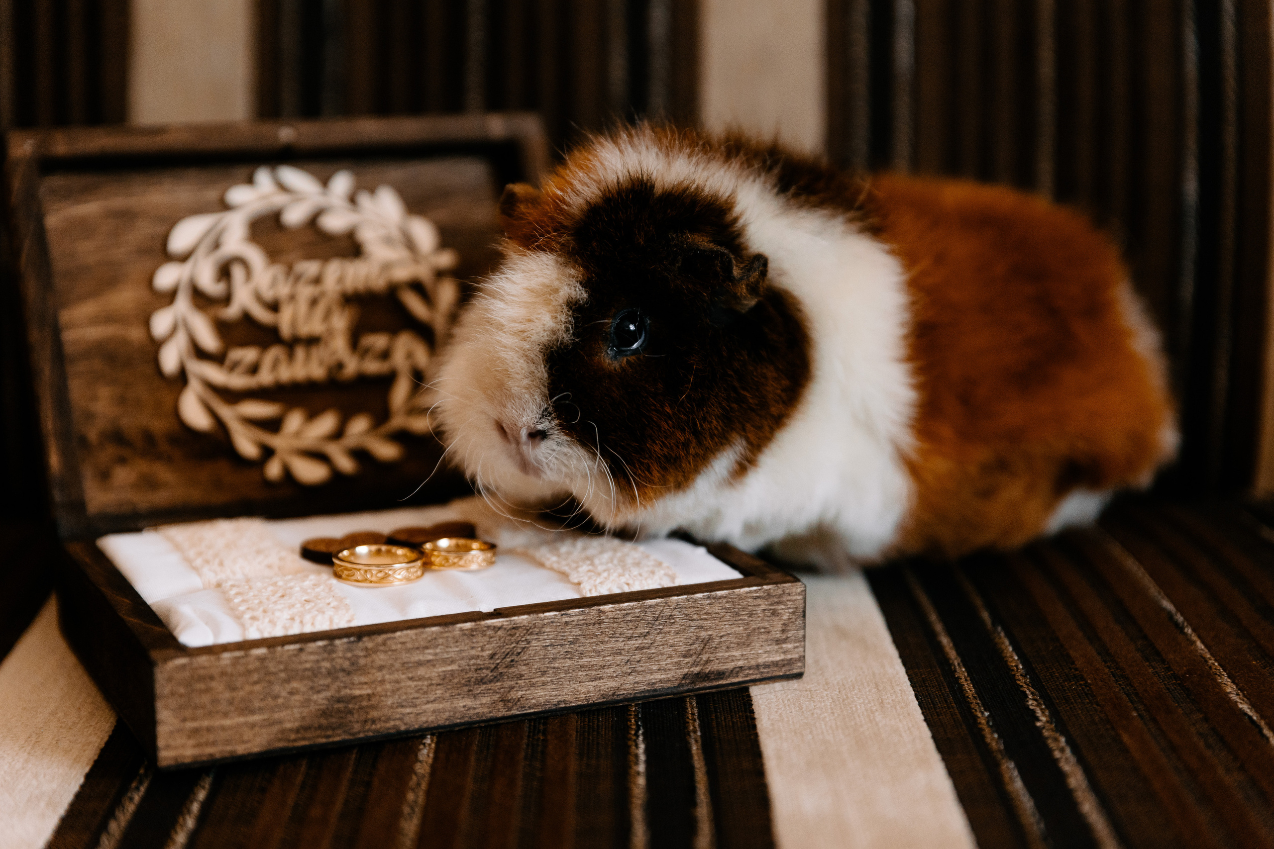 Zdjęcia ślubne z Przygotowań • Fotograf Trójmiasto. Fotograf Ślubny Warszawa - Sesje Biznesowe Rodzinne Eventy